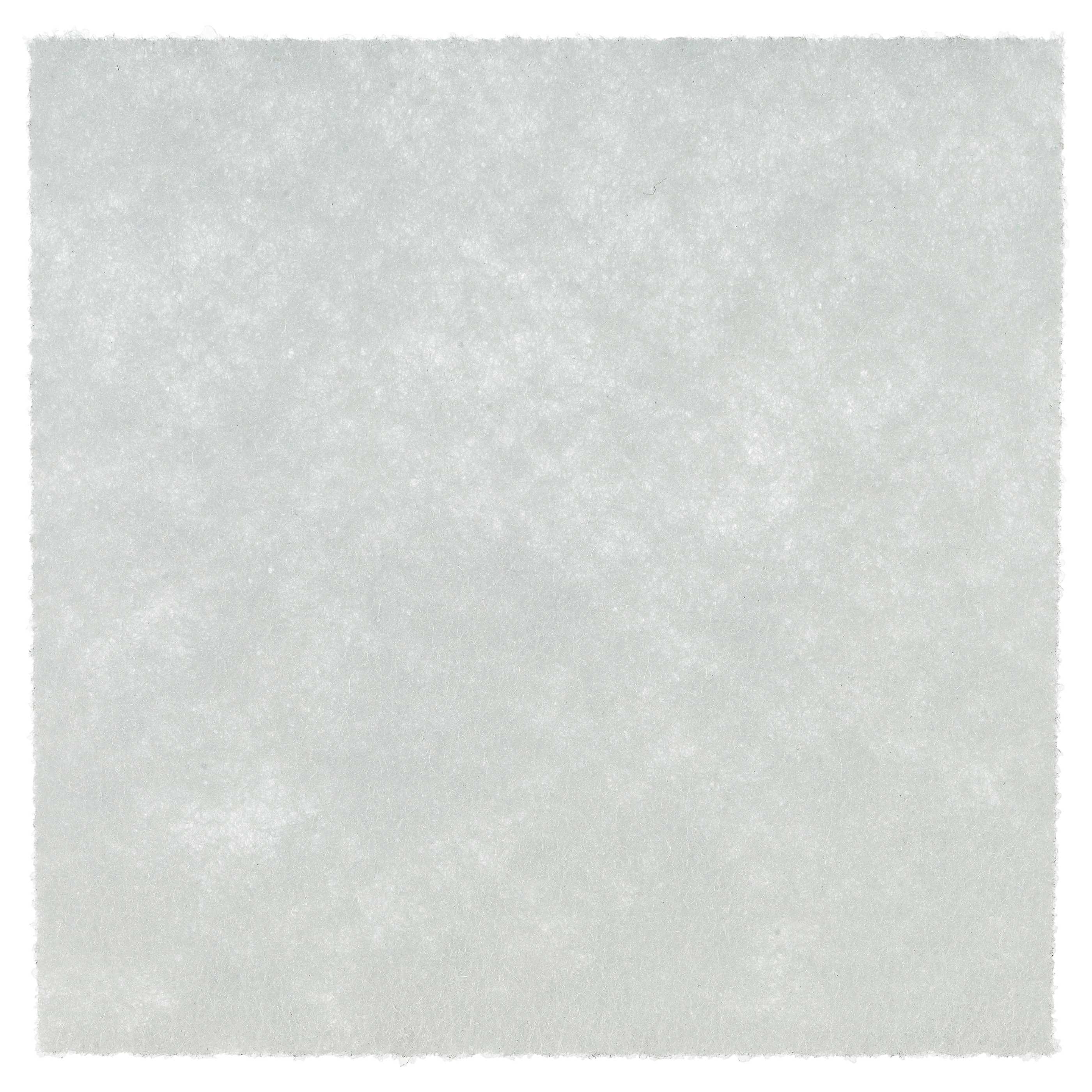 Filtro sostituisce Philips CP0537/01, 432200494501 per aspirapolvere