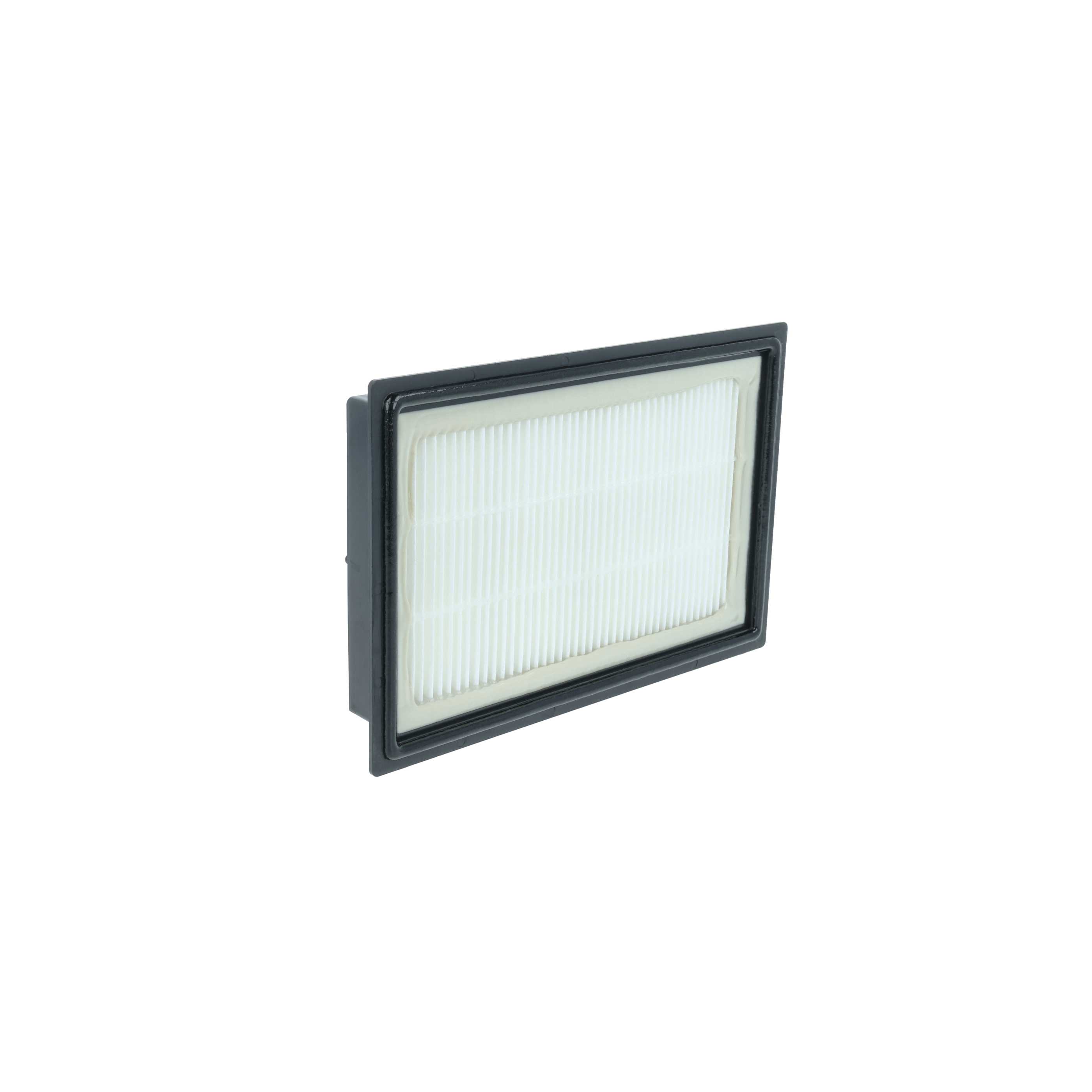 Filtro reemplaza Kärcher 2.860-229.0 para aspiradora filtro Hepa - negro / blanco