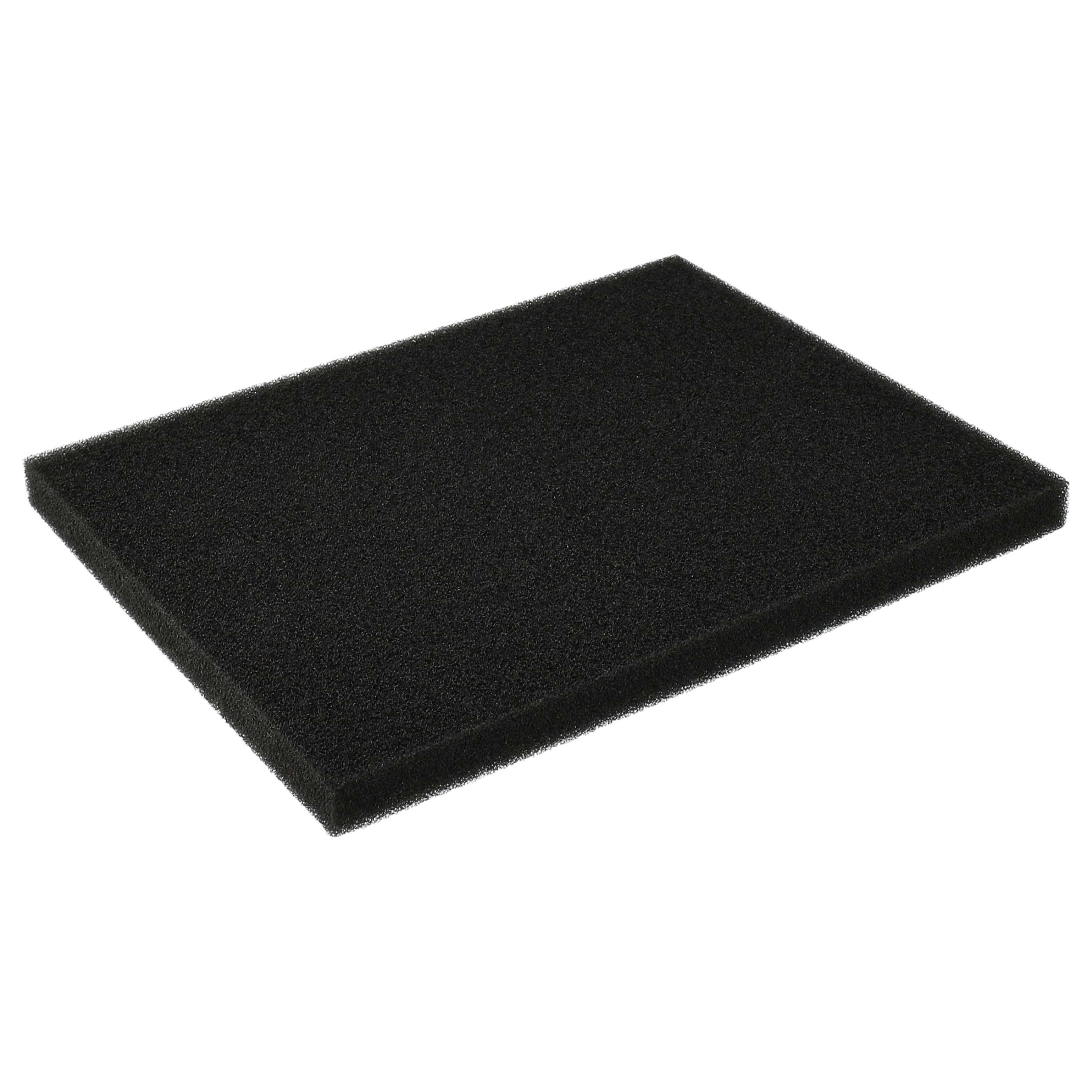 Filtro sostituisce Philips 432200039691, CP0789 per aspirapolvere