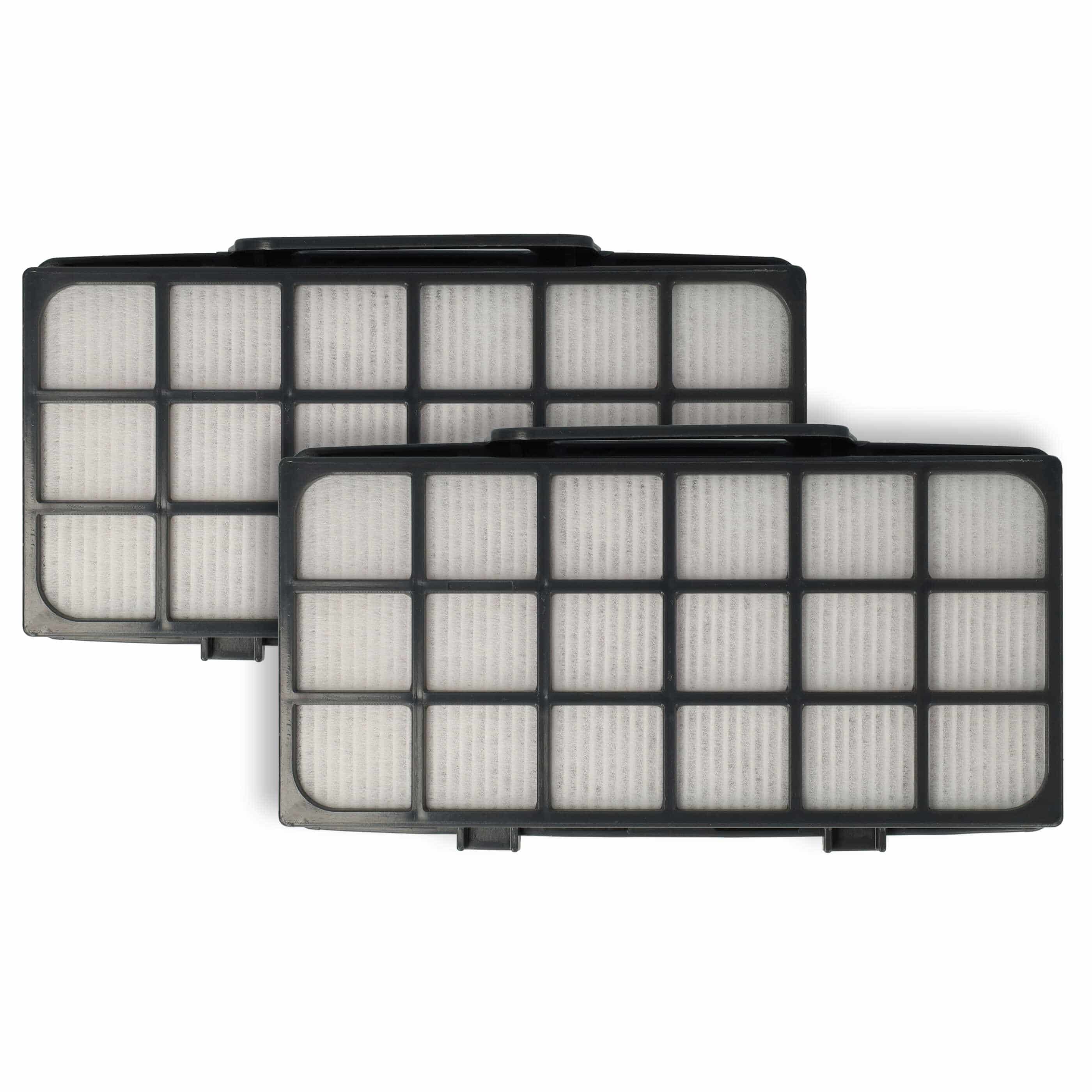 2x exhaust EPA filter replaces Rowenta RS-RT4310, ZR920101 for Rowenta Vacuum Cleaner