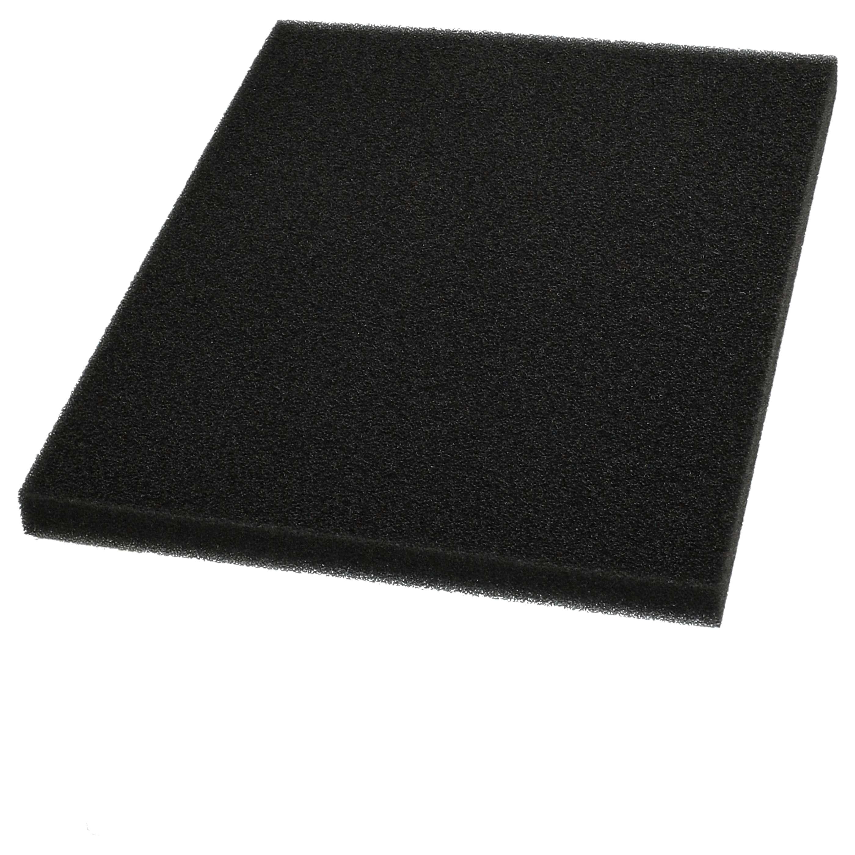 Filtro sostituisce Philips 432200039691, CP0789 per aspirapolvere