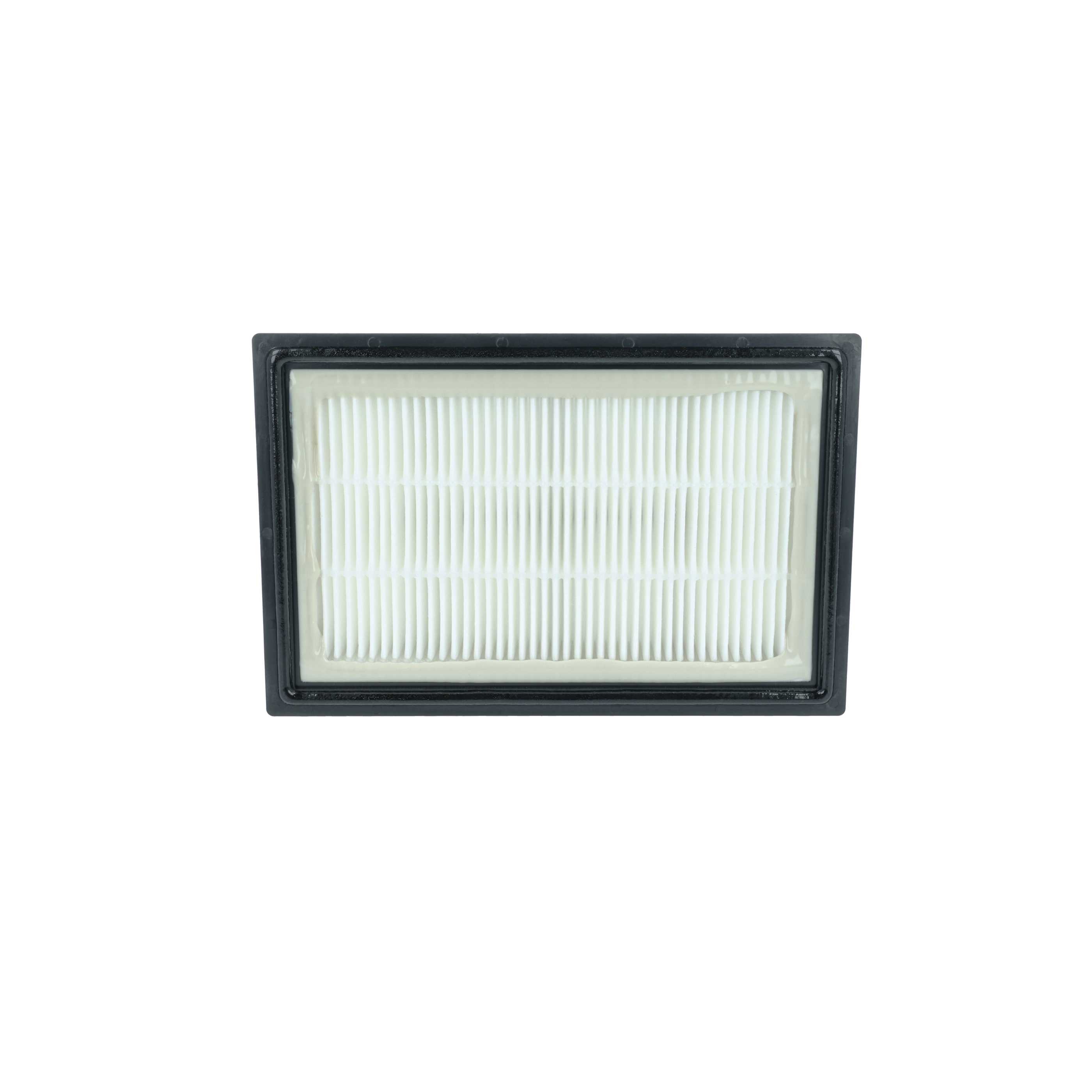 Filtro reemplaza Kärcher 2.860-229.0 para aspiradora filtro Hepa - negro / blanco