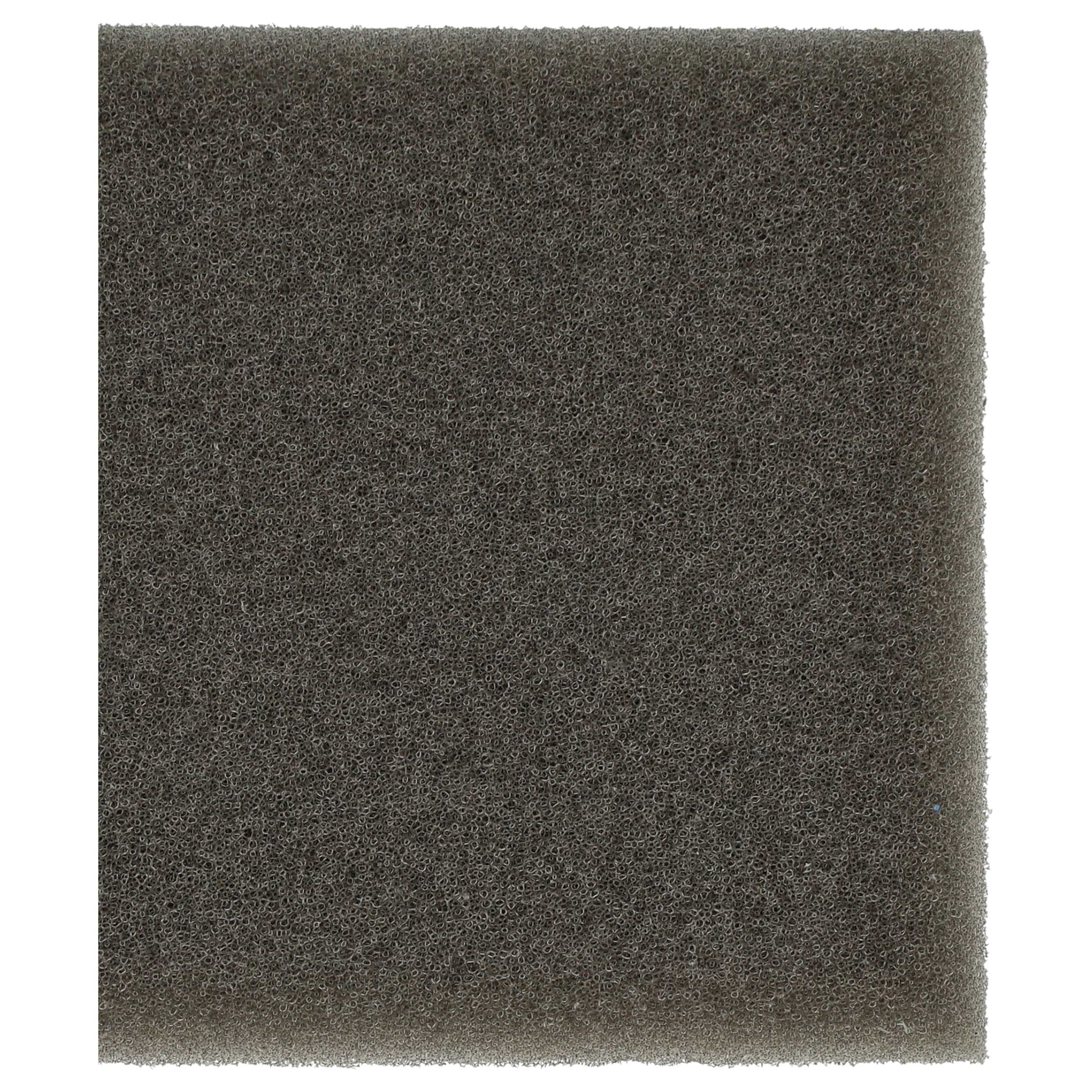 2x Filtersponge filter suitable for Leifheit Regulus Aqua PowerVac Vacuum Cleaner