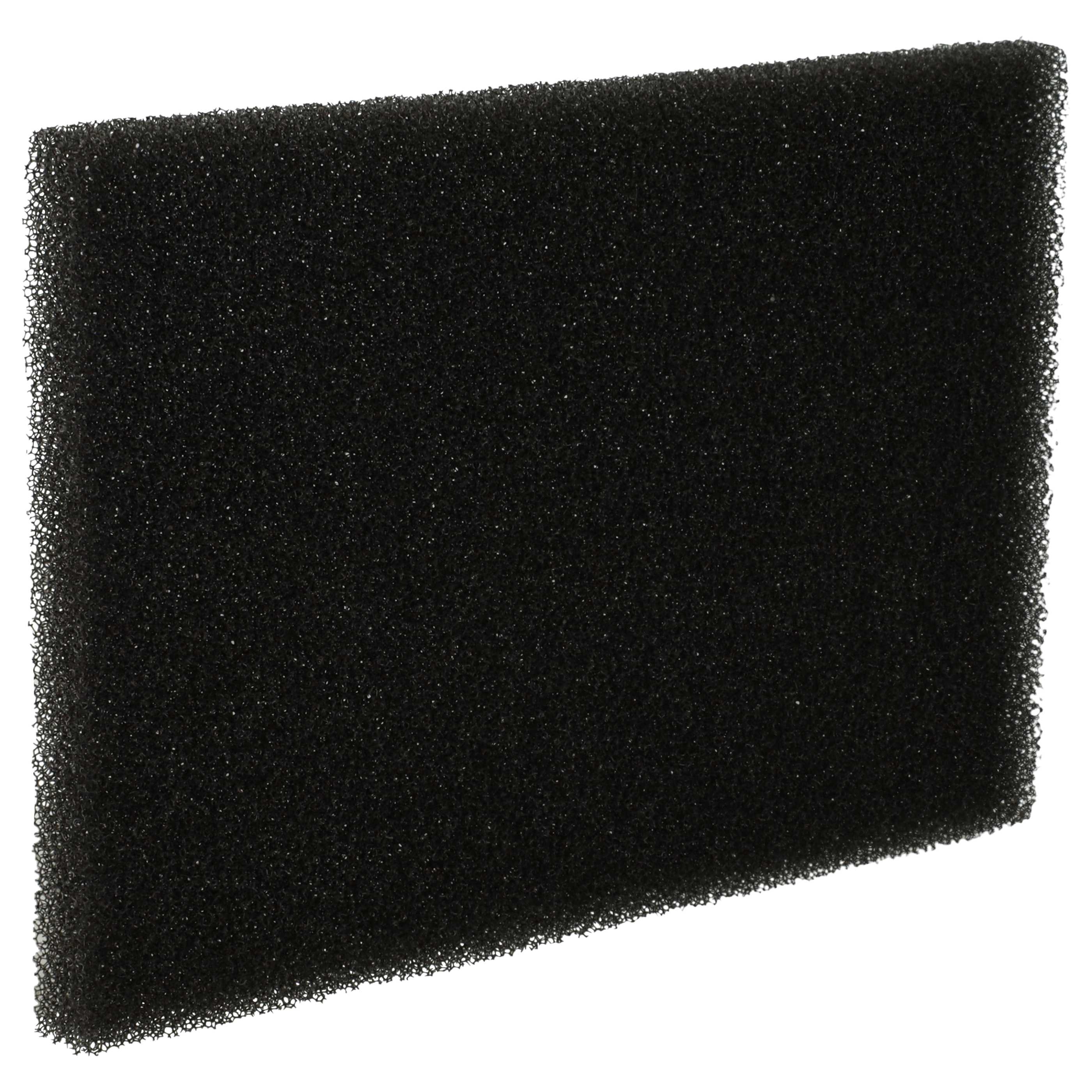 Filtro sostituisce 4210004665007, 1096168008, 421000466500/7, 109616800/8 per aspirapolvere - filtro di spugna
