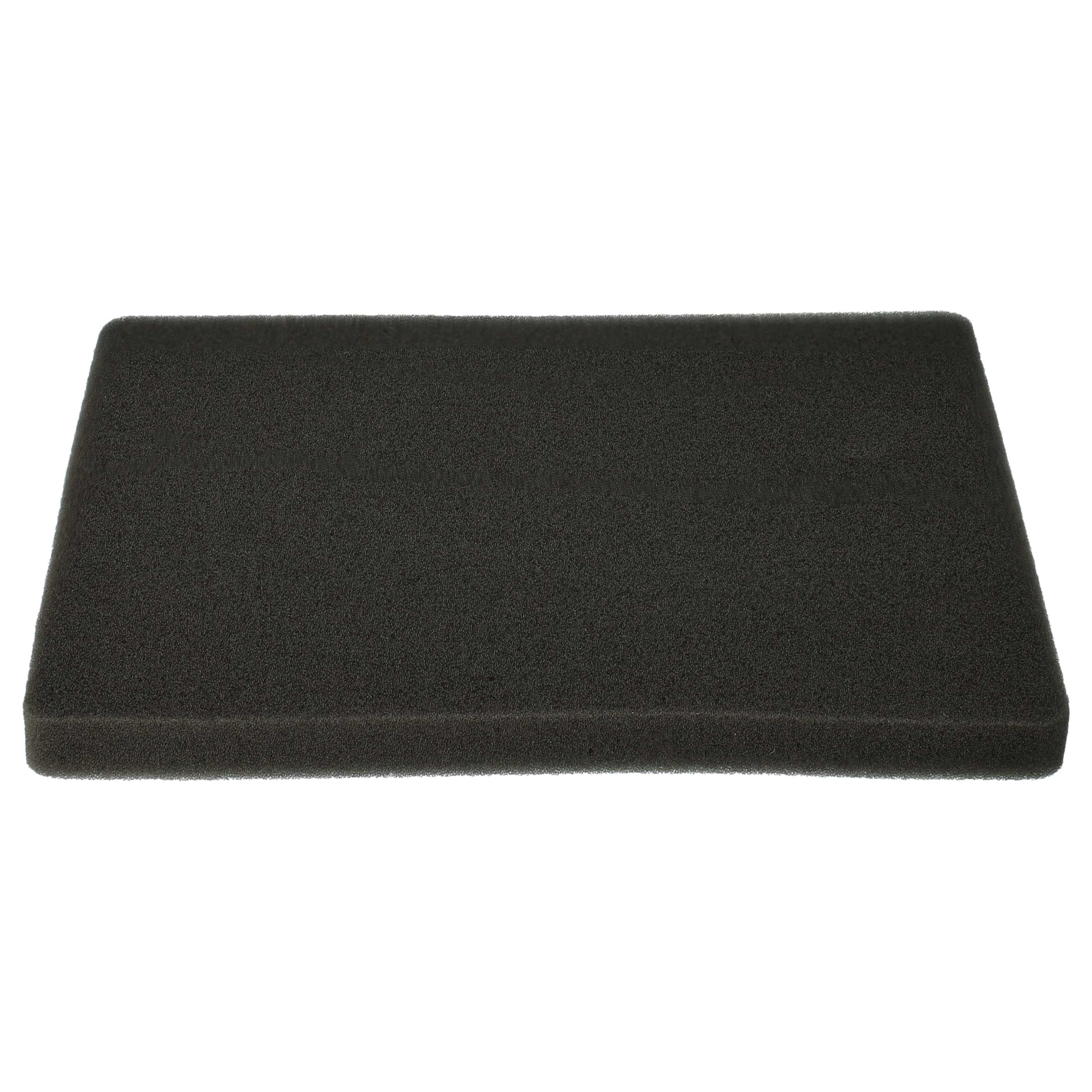 2x Filterexhaust filter / sponge filter replaces Electrolux 1180215012 for Electrolux Vacuum Cleaner