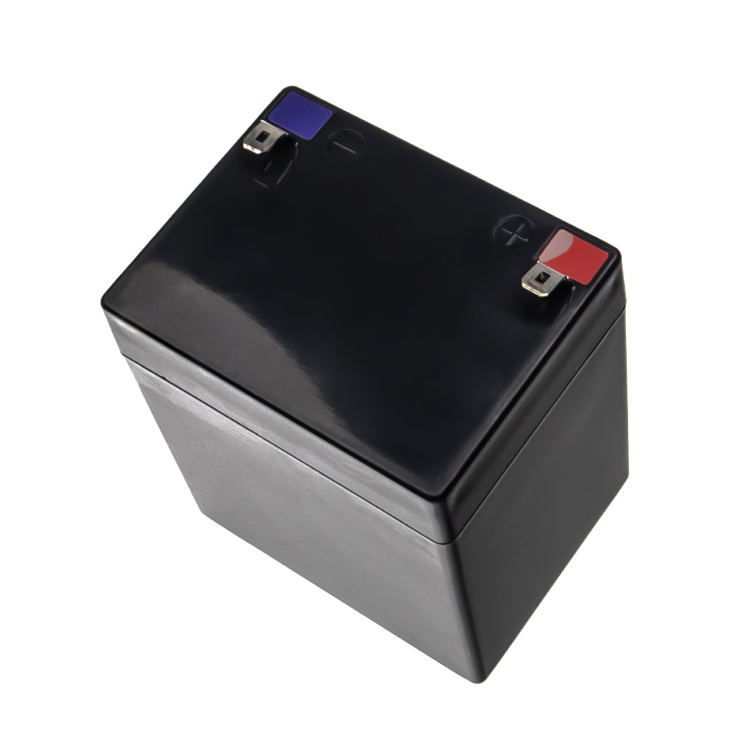Batterie pour enceinte LD Systems, The Box Road Buddy 10 - 6Ah 12,8V LiFePO4