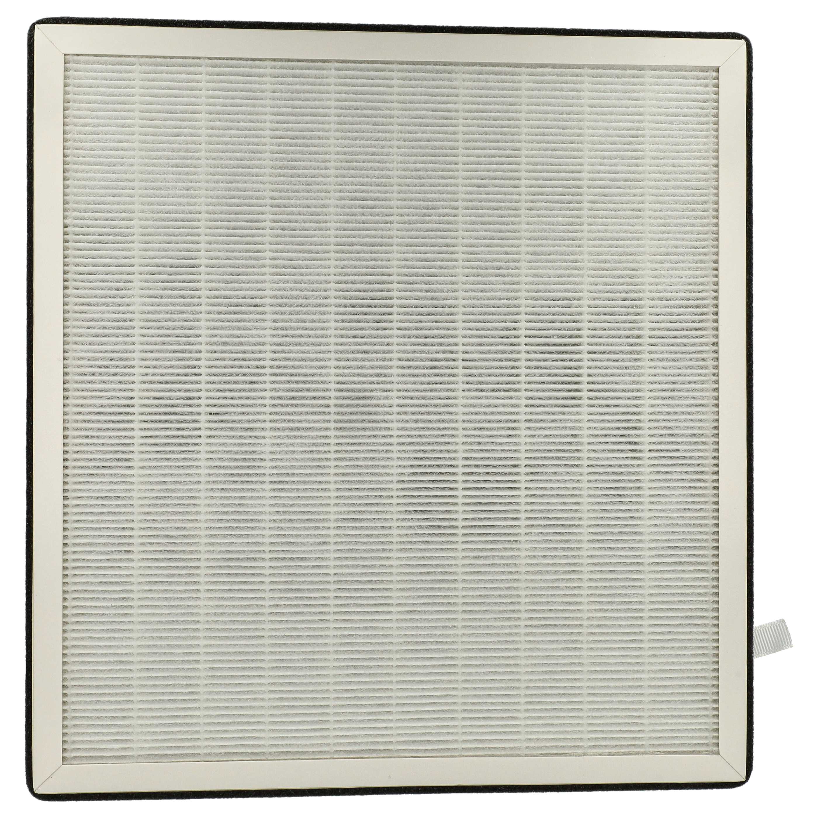 Filter as Replacement for 10029862 etc. - HEPA + Activated Carbon