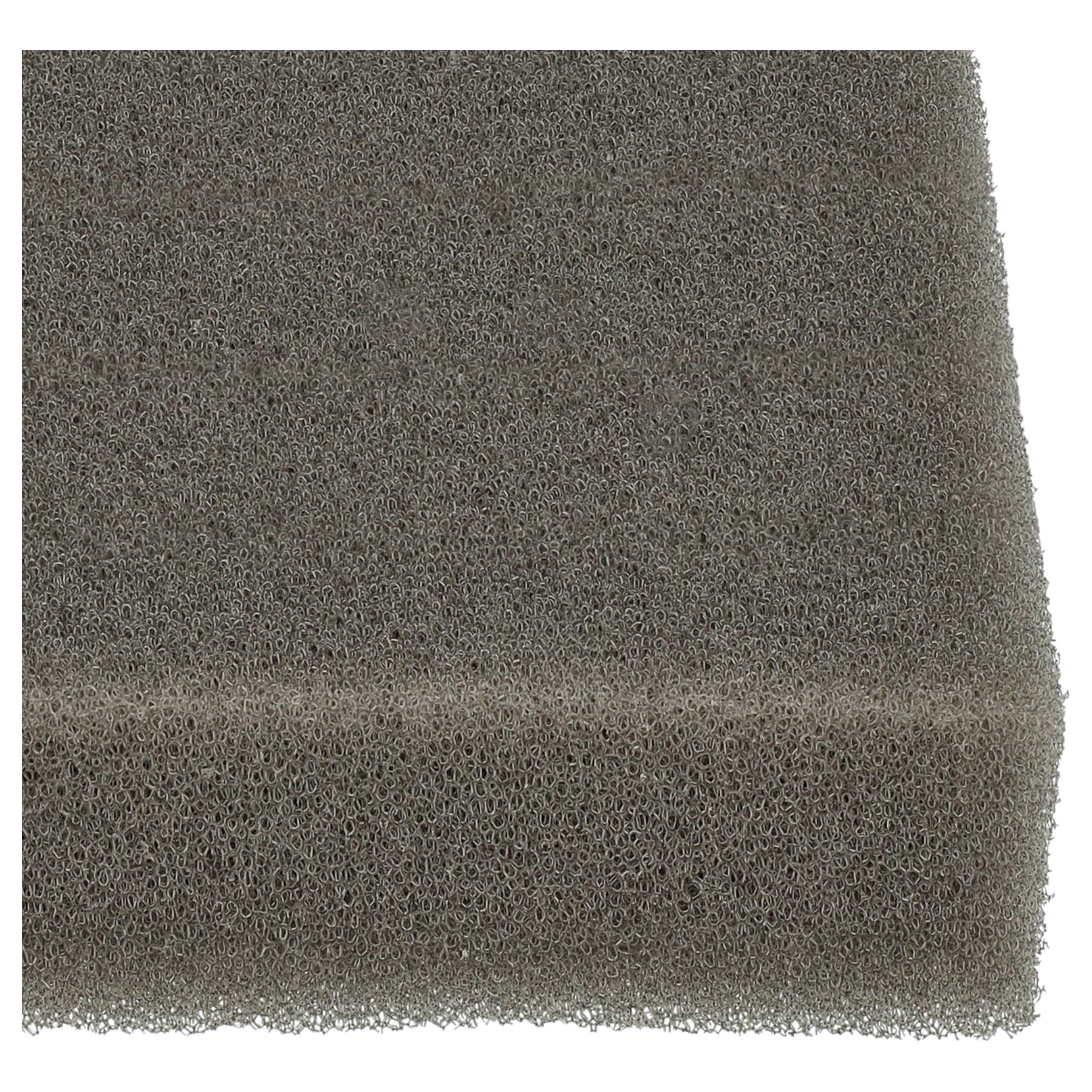 2x Filtersponge filter suitable for Leifheit Regulus Aqua PowerVac Vacuum Cleaner