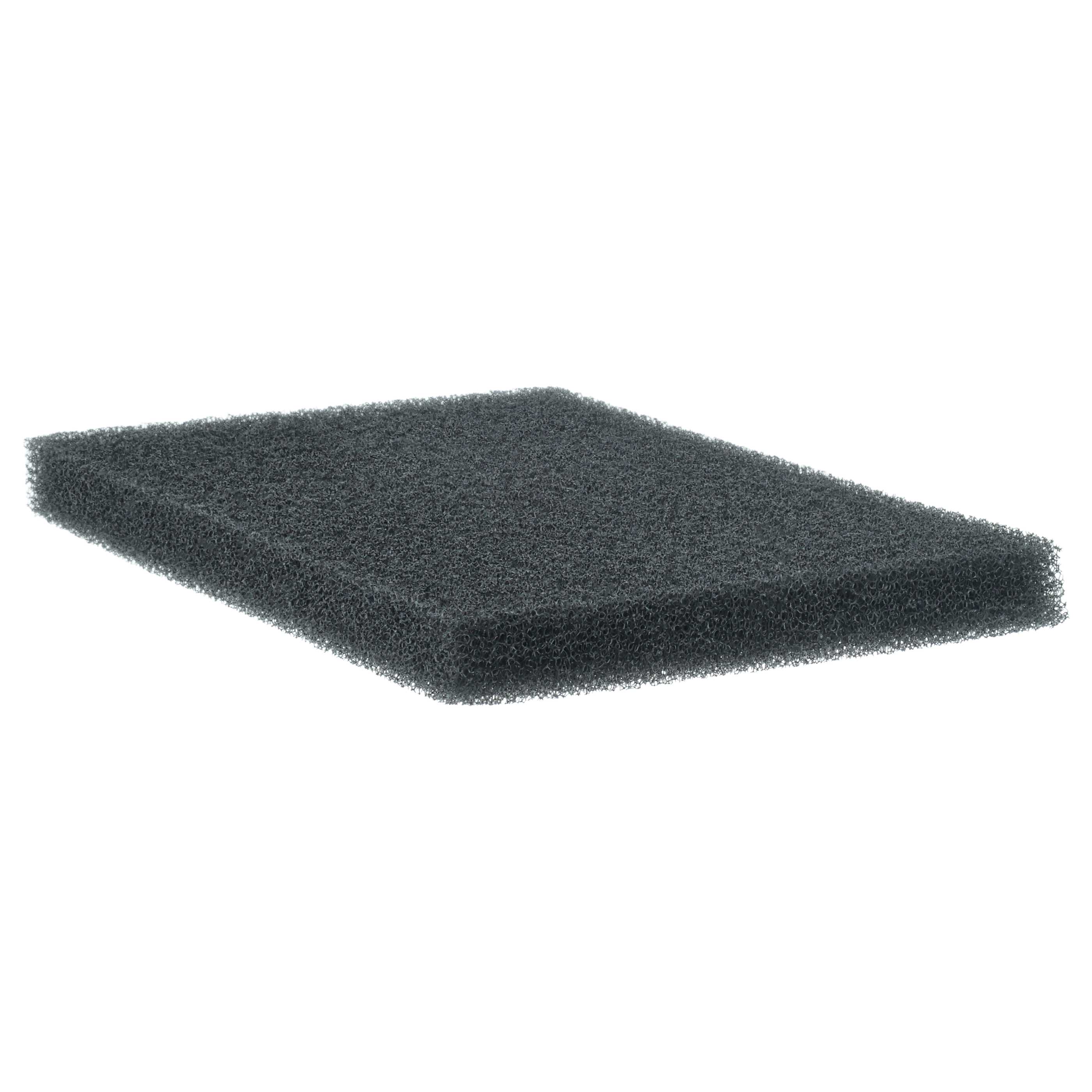 2x filtro protector motor###DU HAST DEN FALSCHEN REF TAG VERWENDET###aspiradora, 6 x 10 cm