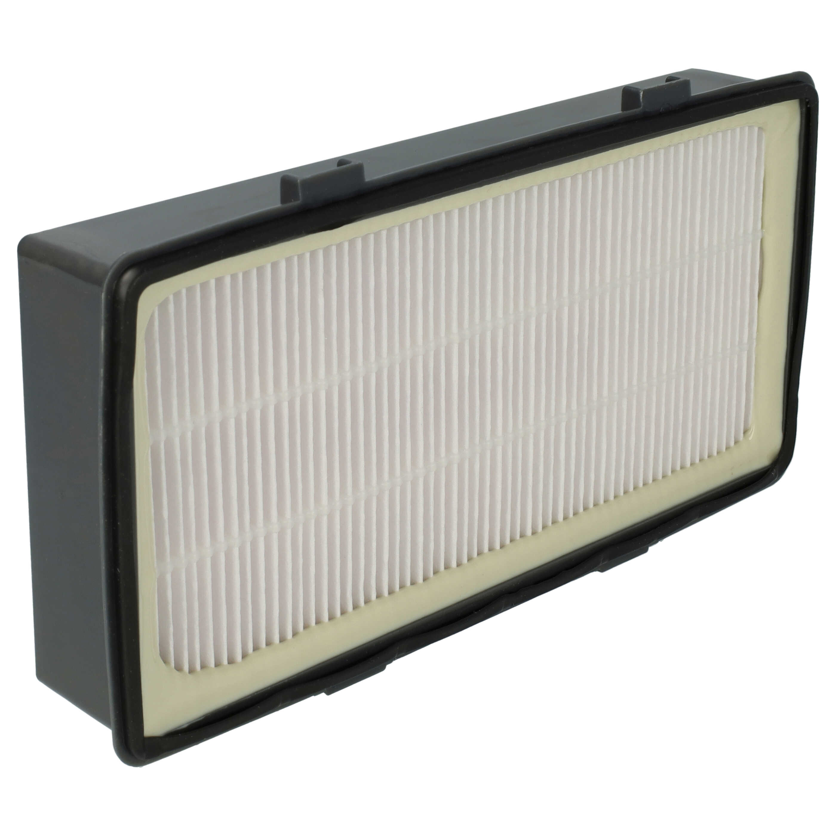 2x exhaust EPA filter replaces Rowenta RS-RT4310, ZR920101 for Rowenta Vacuum Cleaner
