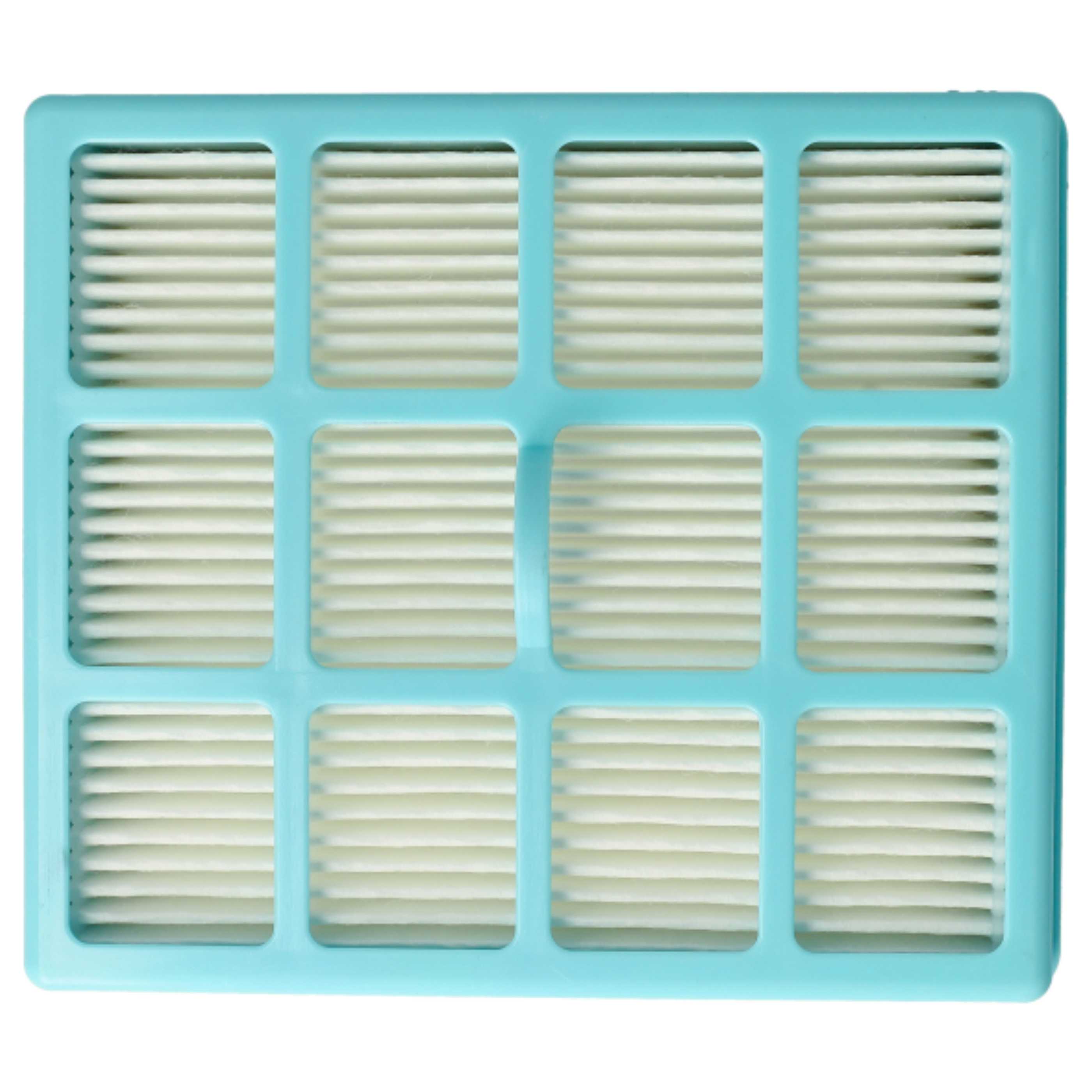 2x Filter replaces Philips CRP495, CP0259/01, 432200493941 for Philips Vacuum Cleaner