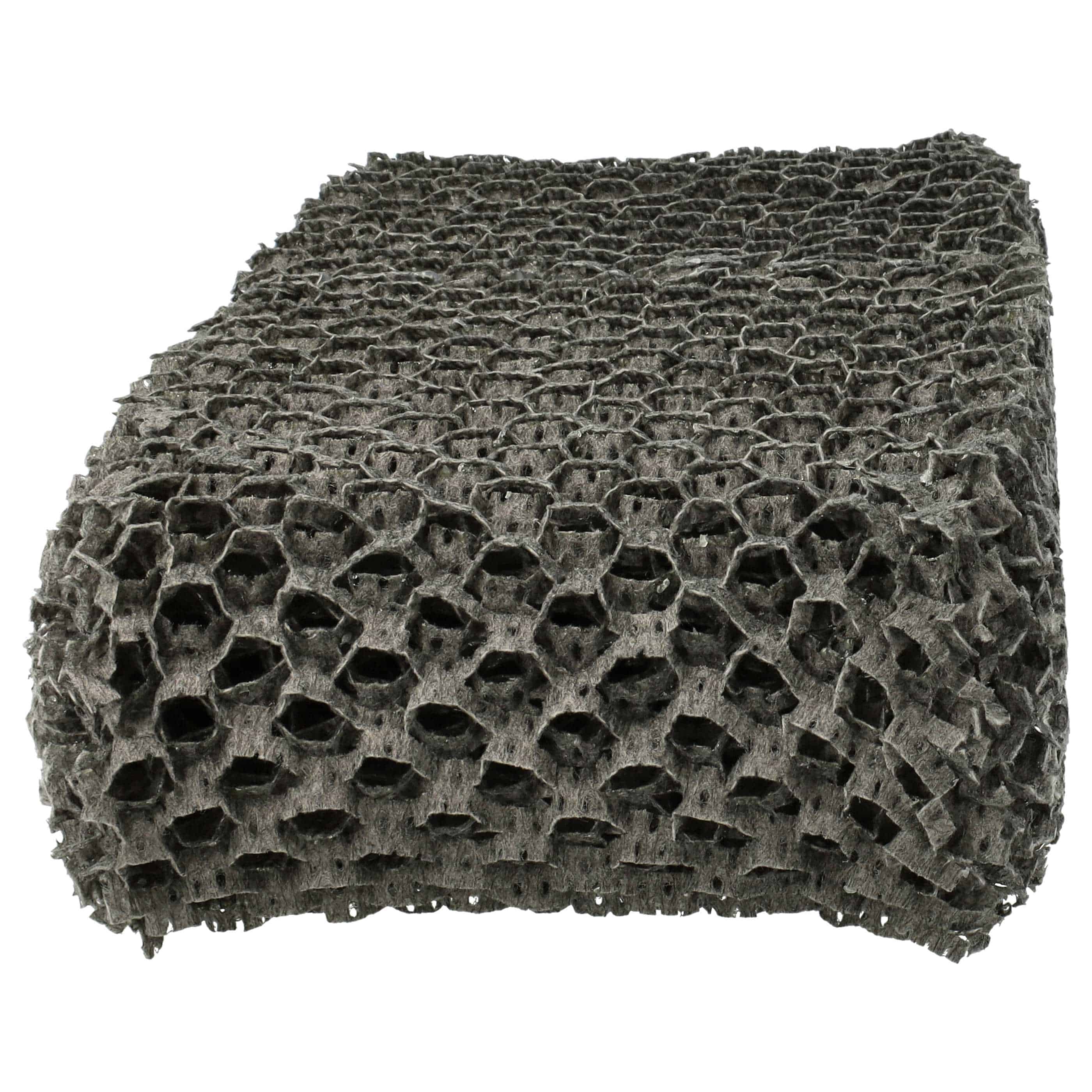 2x Filter replaces Philips HU4102/01, FY2401/10 Humidifier - natural fibres in honeycomb structure