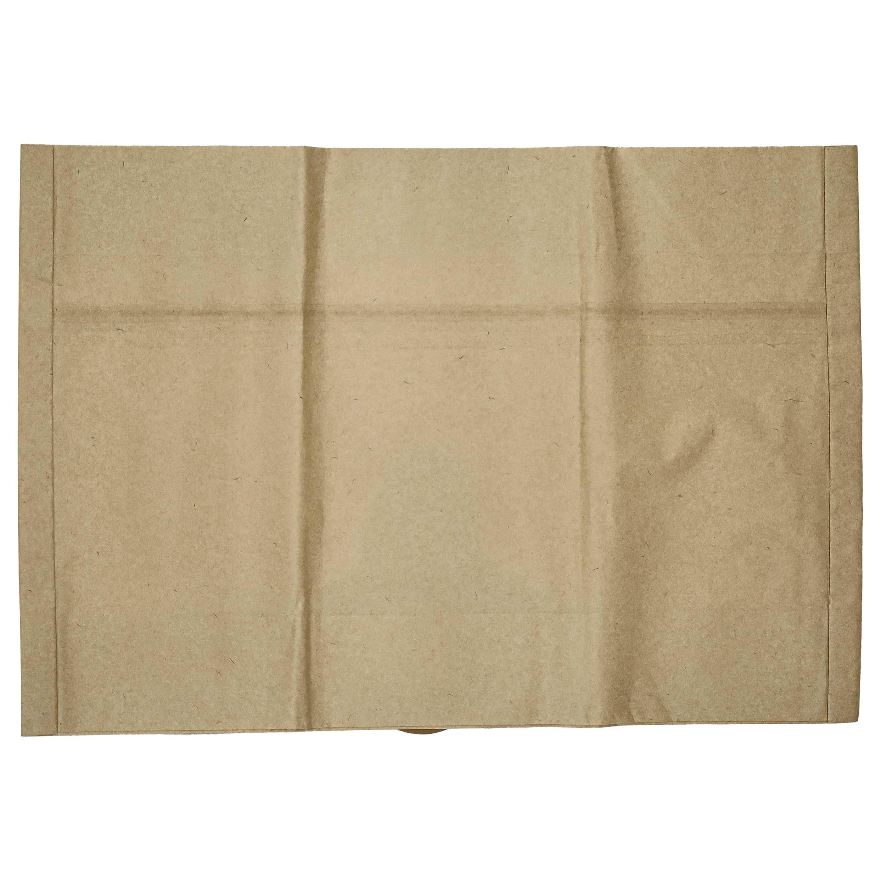50x Sac remplace Einhell 23.421.60 pour aspirateur LIV - papier