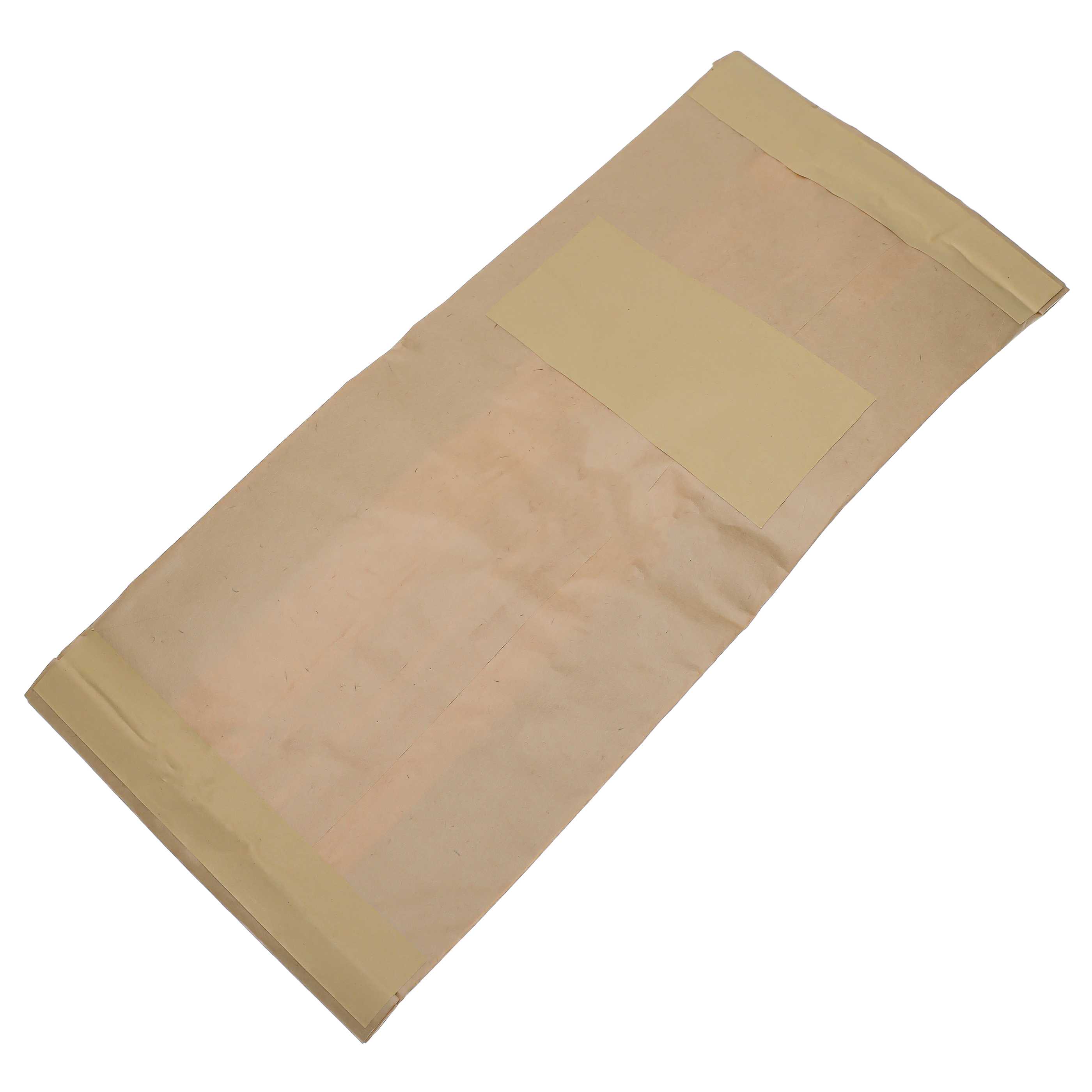 20x Sacchetto sostituisce Festool 452970 per aspiratore, carta