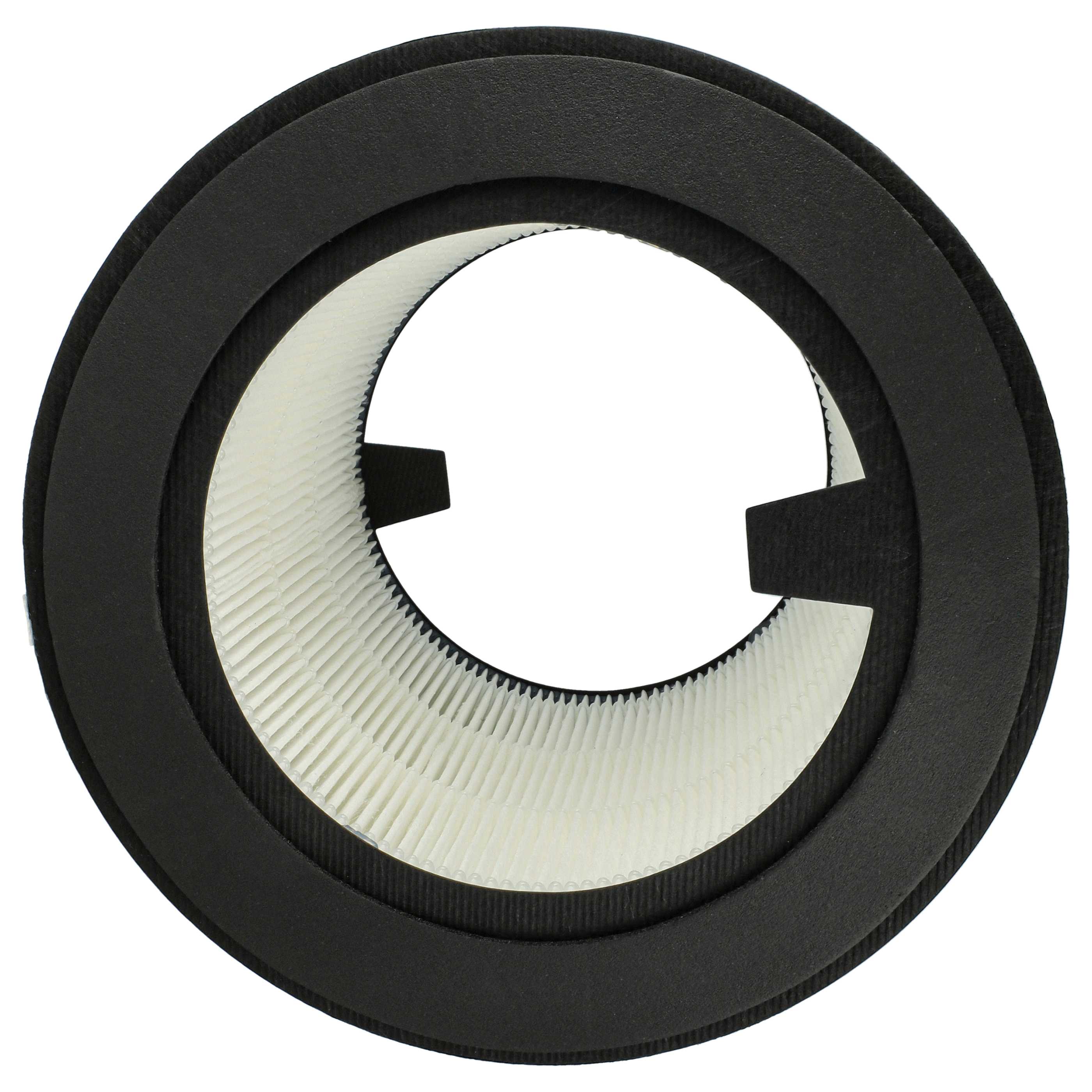 2x Filtro HEPA sostituisce Philips FY0194/30 per purificatore d'aria