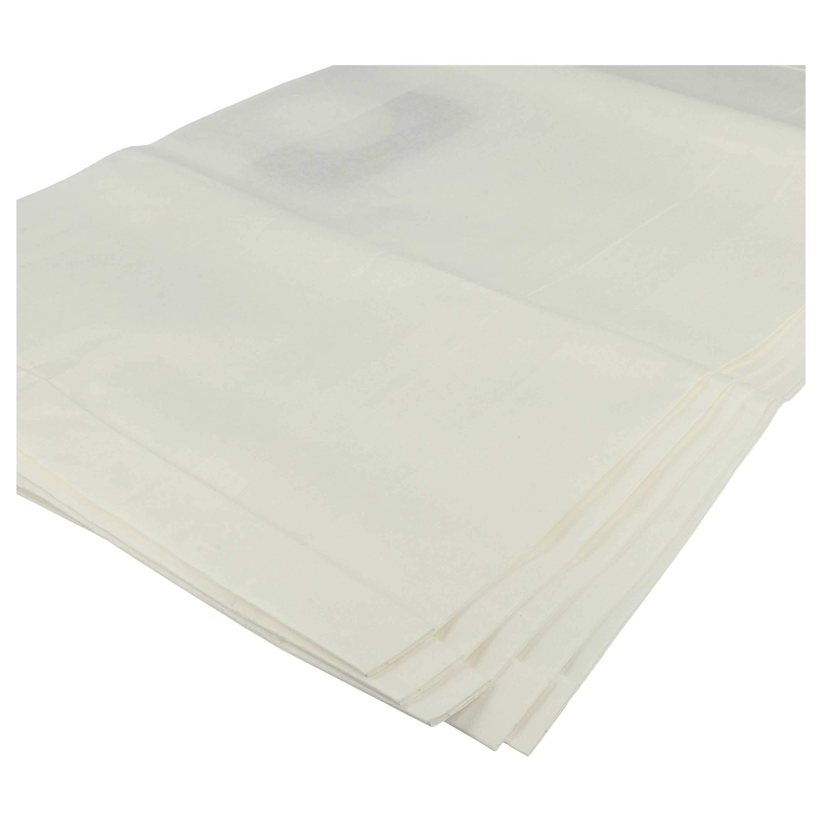 10x Sac filtrant remplace Stihl SE015009000 pour aspirateur Stihl - papier, carton