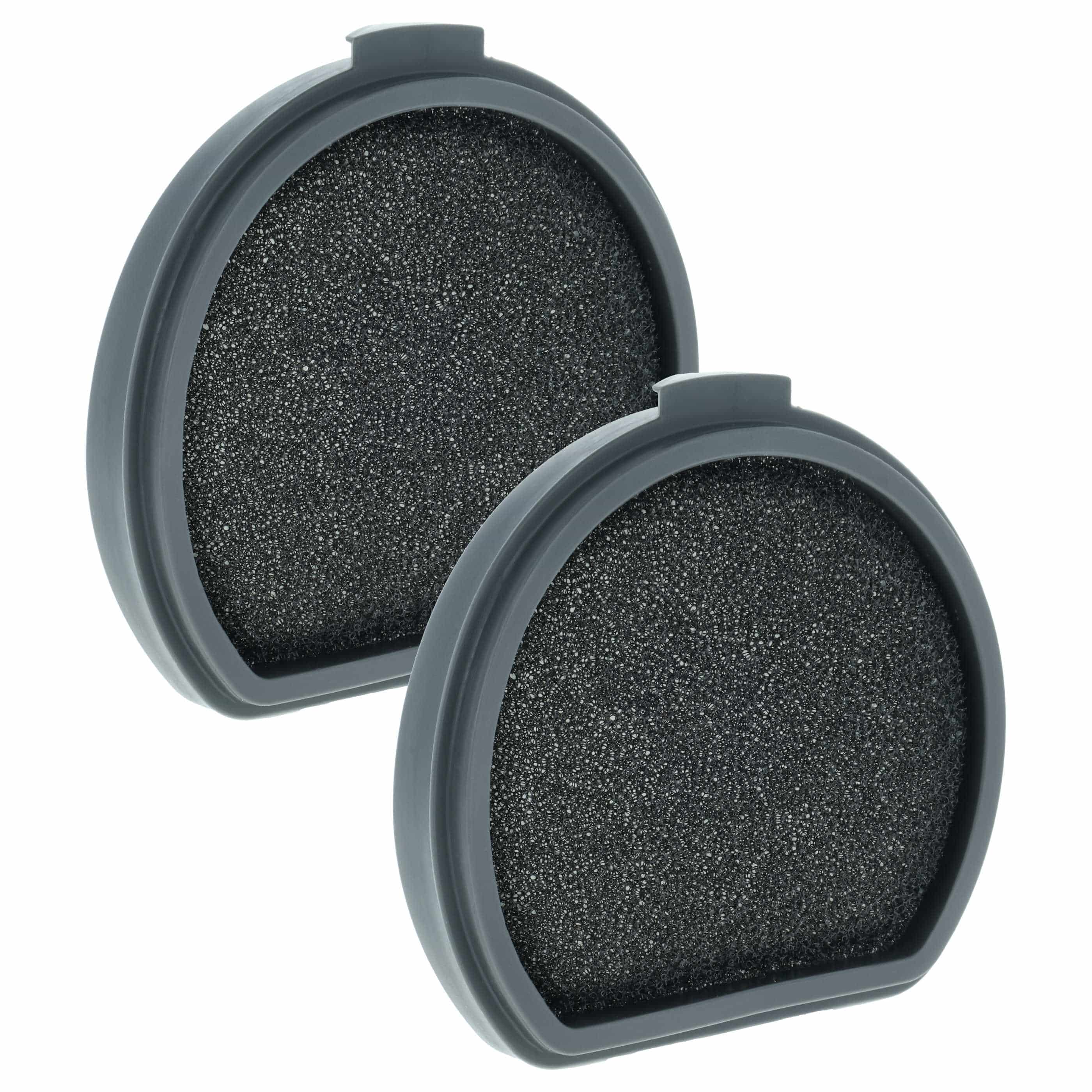 2x Filter replaces AEG 9009230930, AEF167 for AEG Vacuum Cleaner