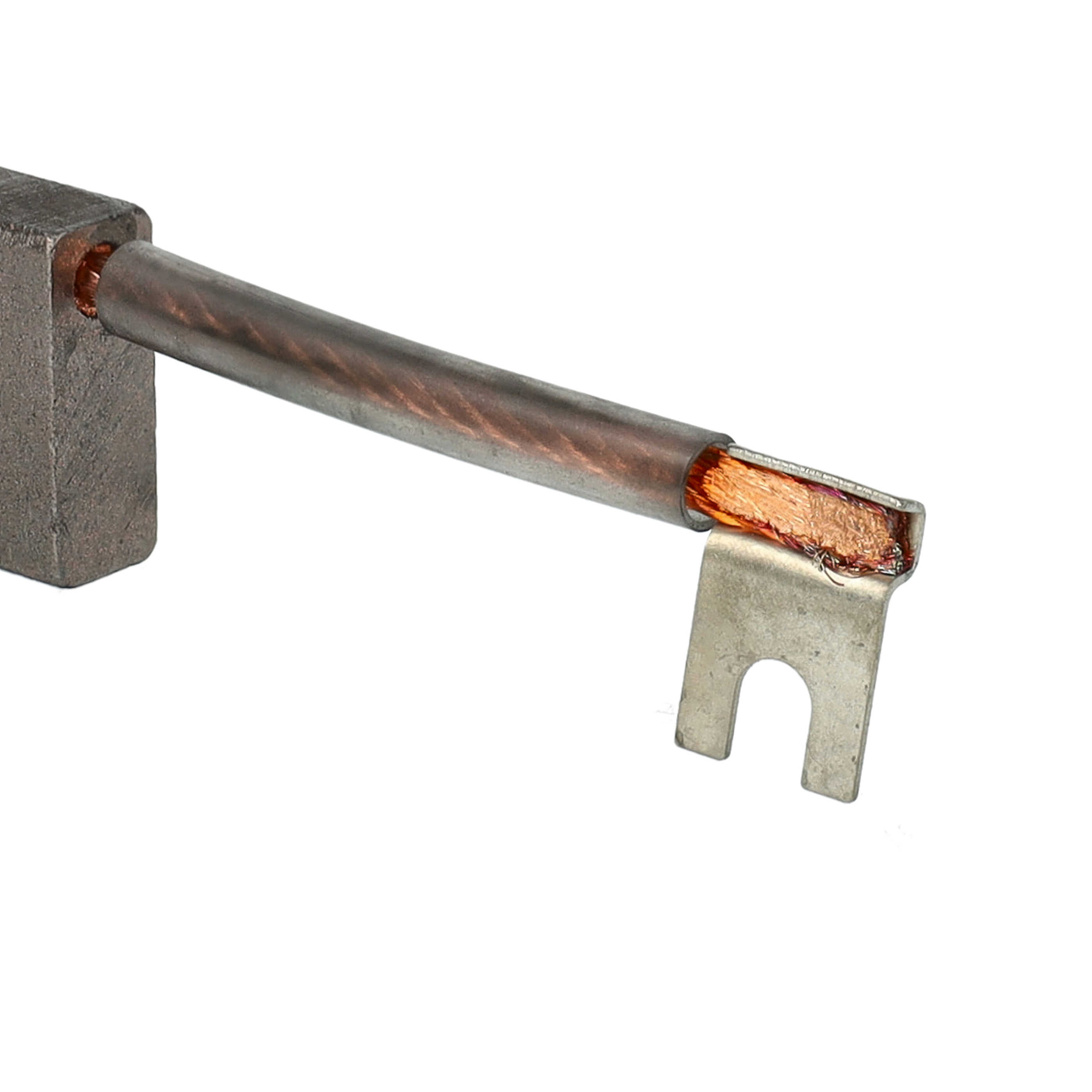 4x Kohlebürste als Ersatz für Asein 3887 für Elektrowerkzeug - 24,5 x 24,9 x 9,9mm