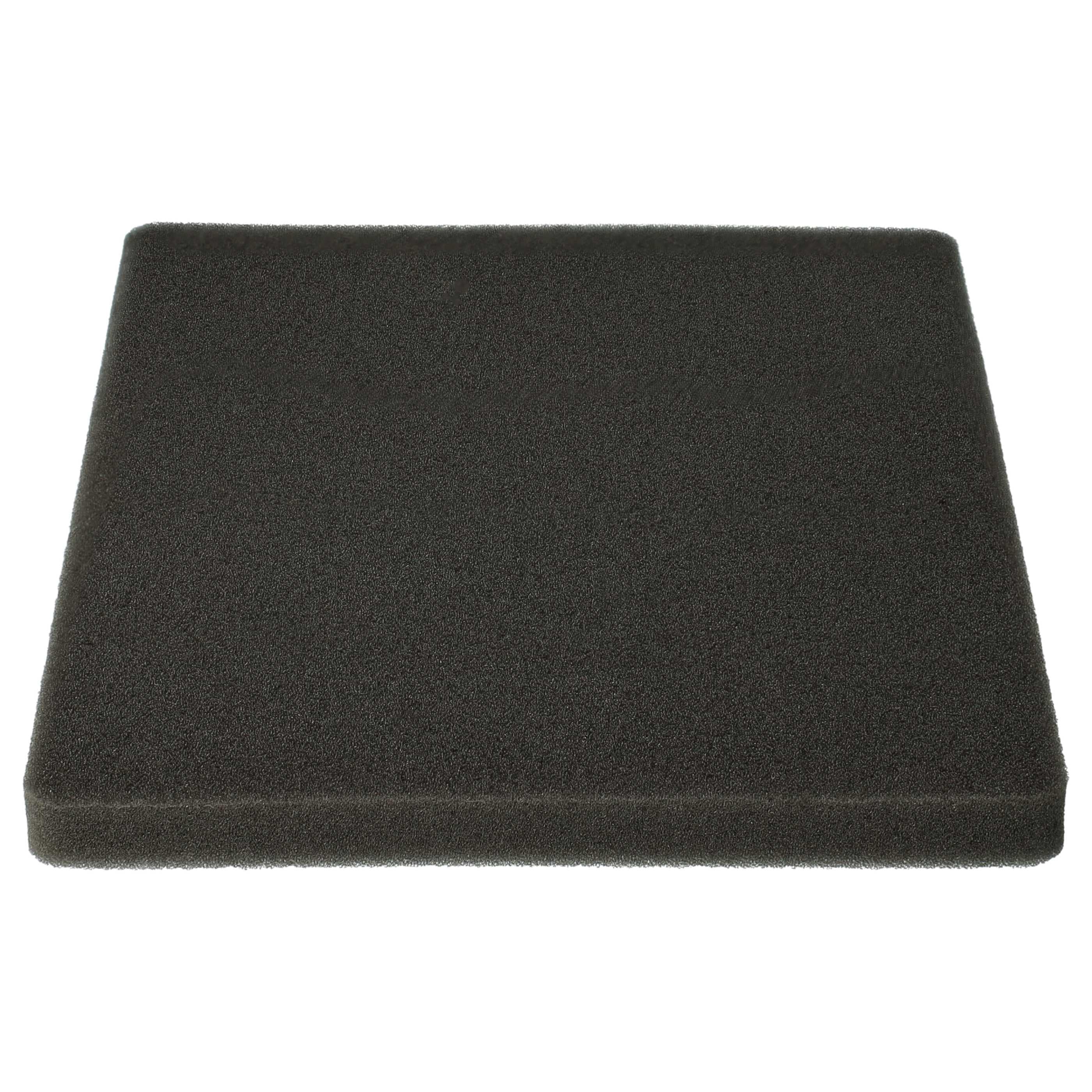 2x Filterexhaust filter / sponge filter replaces Electrolux 1180215012 for Electrolux Vacuum Cleaner