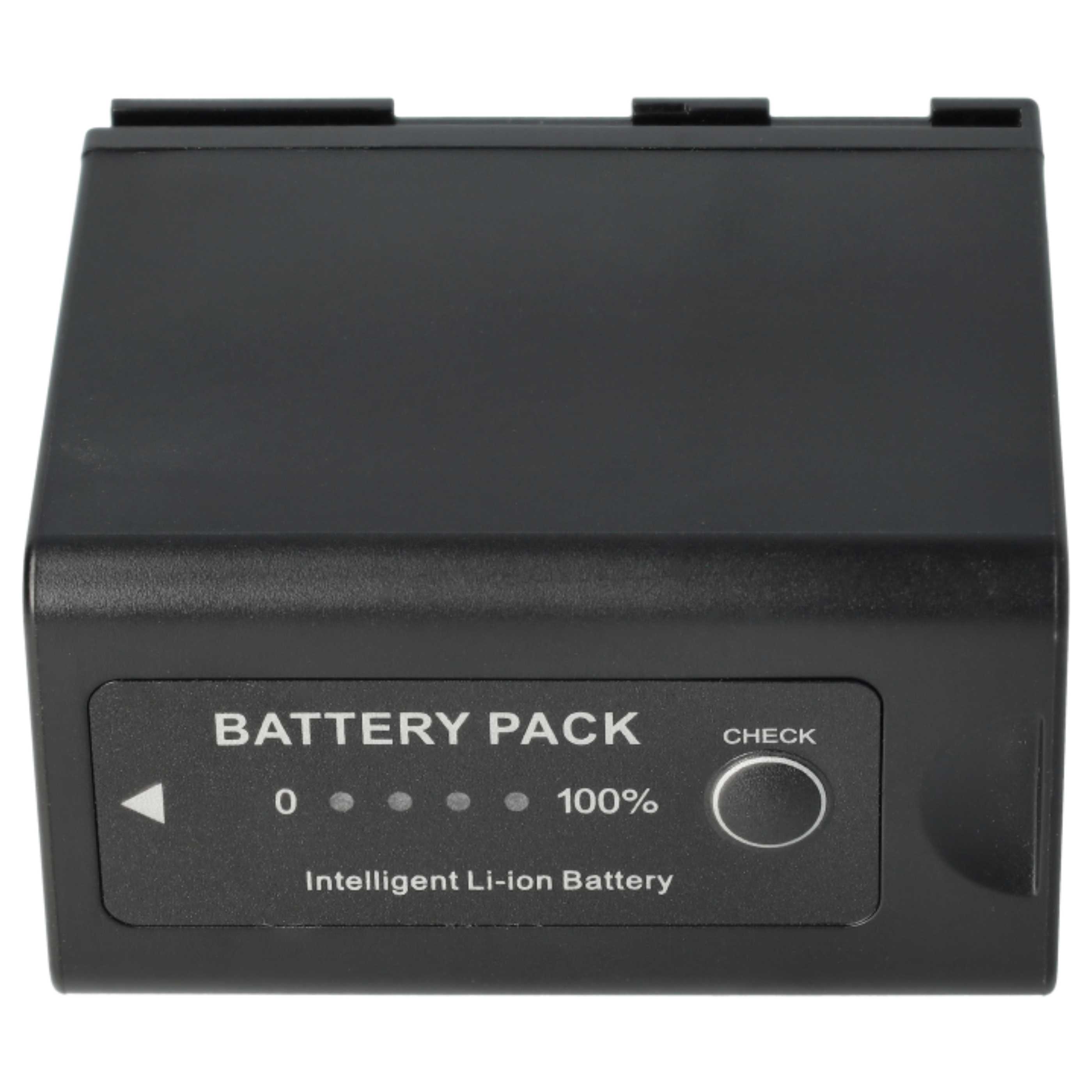Videocamera 2x Battery replaces Canon BP-975 - 6600 mAh 7.4 V Li-Ion