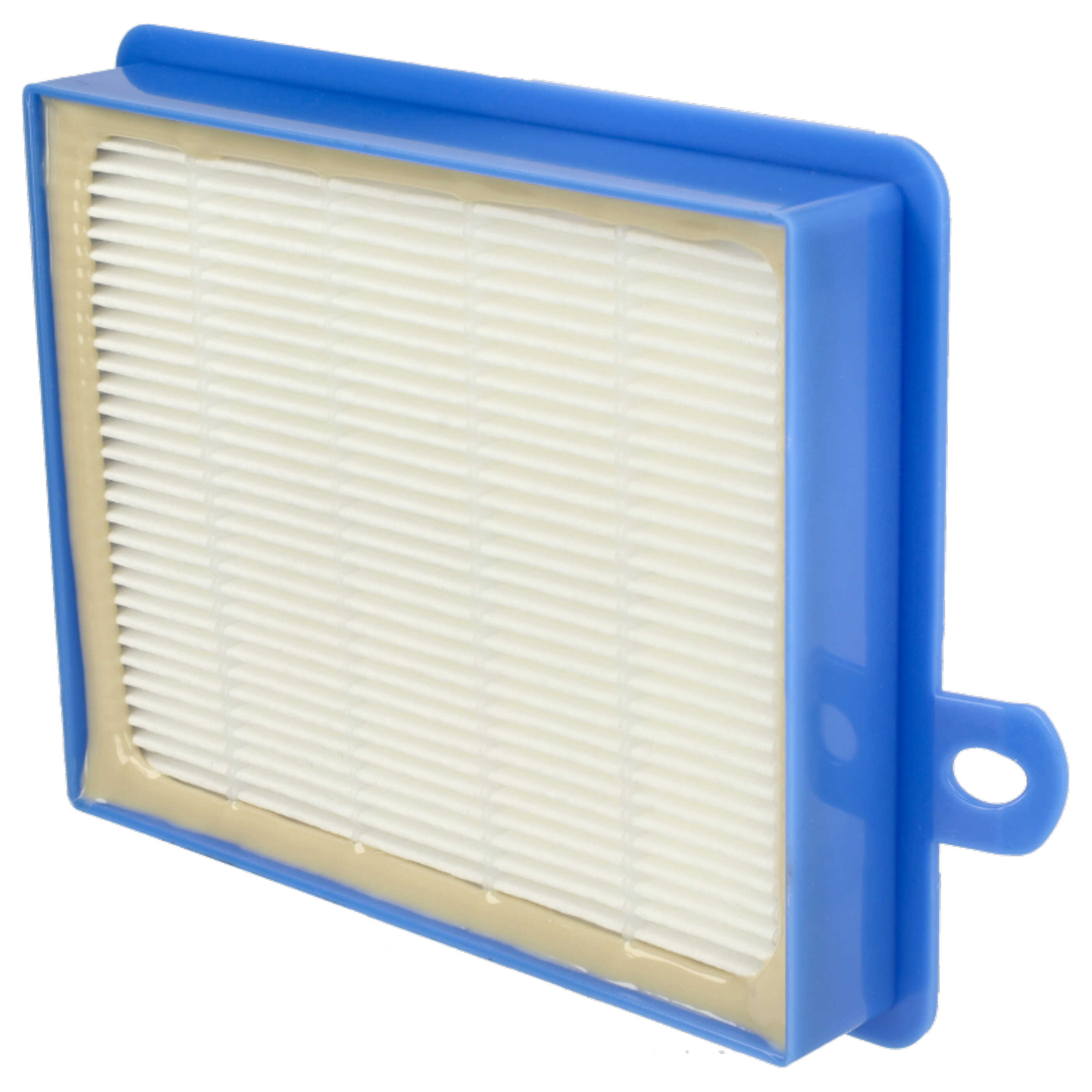 2x exhaust filter replaces AEF13W, H13, AEF 13 W for Philips Vacuum Cleaner