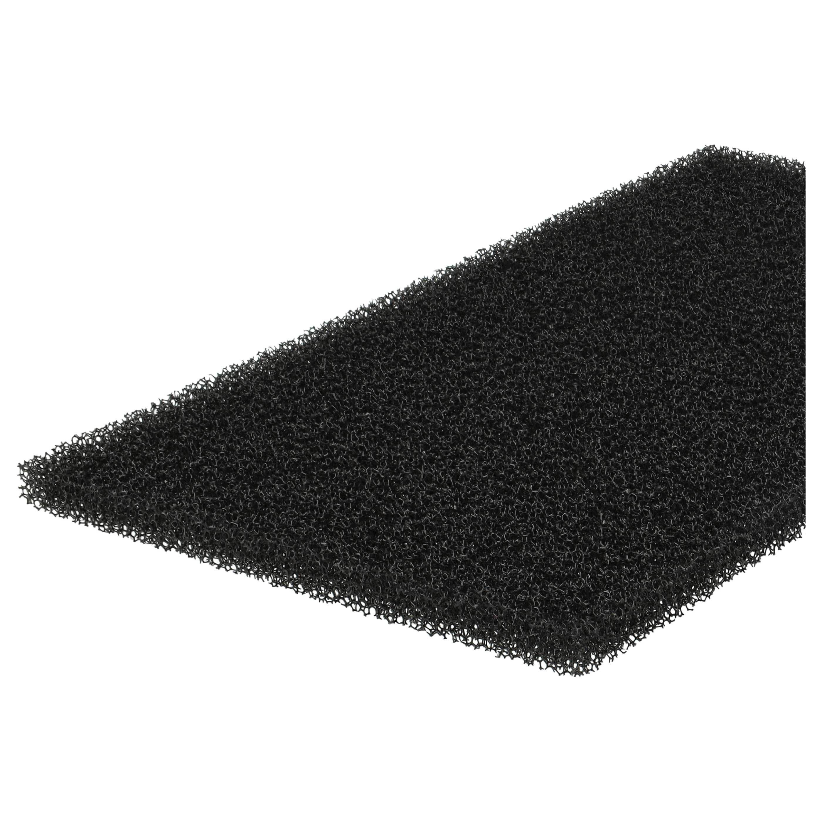 2x Filter as Replacement for Blomberg 2952560100 Tumble Dryer etc.