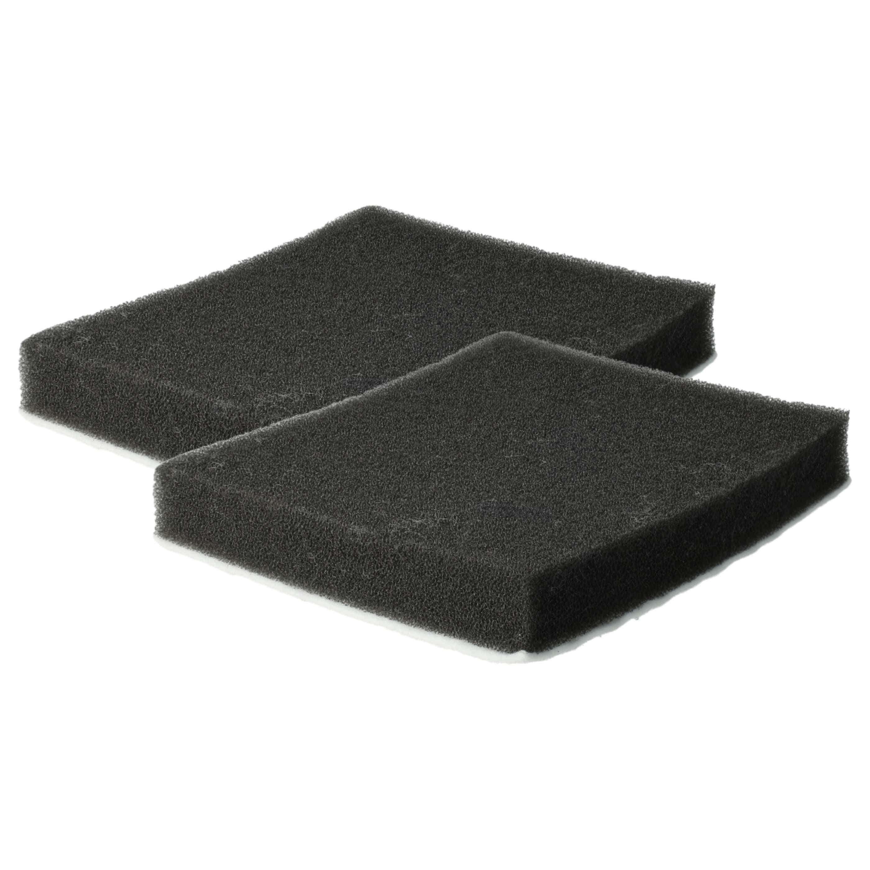 2x Filtermicro filter replaces Samsung DJ63-00669A for Samsung Vacuum Cleaner