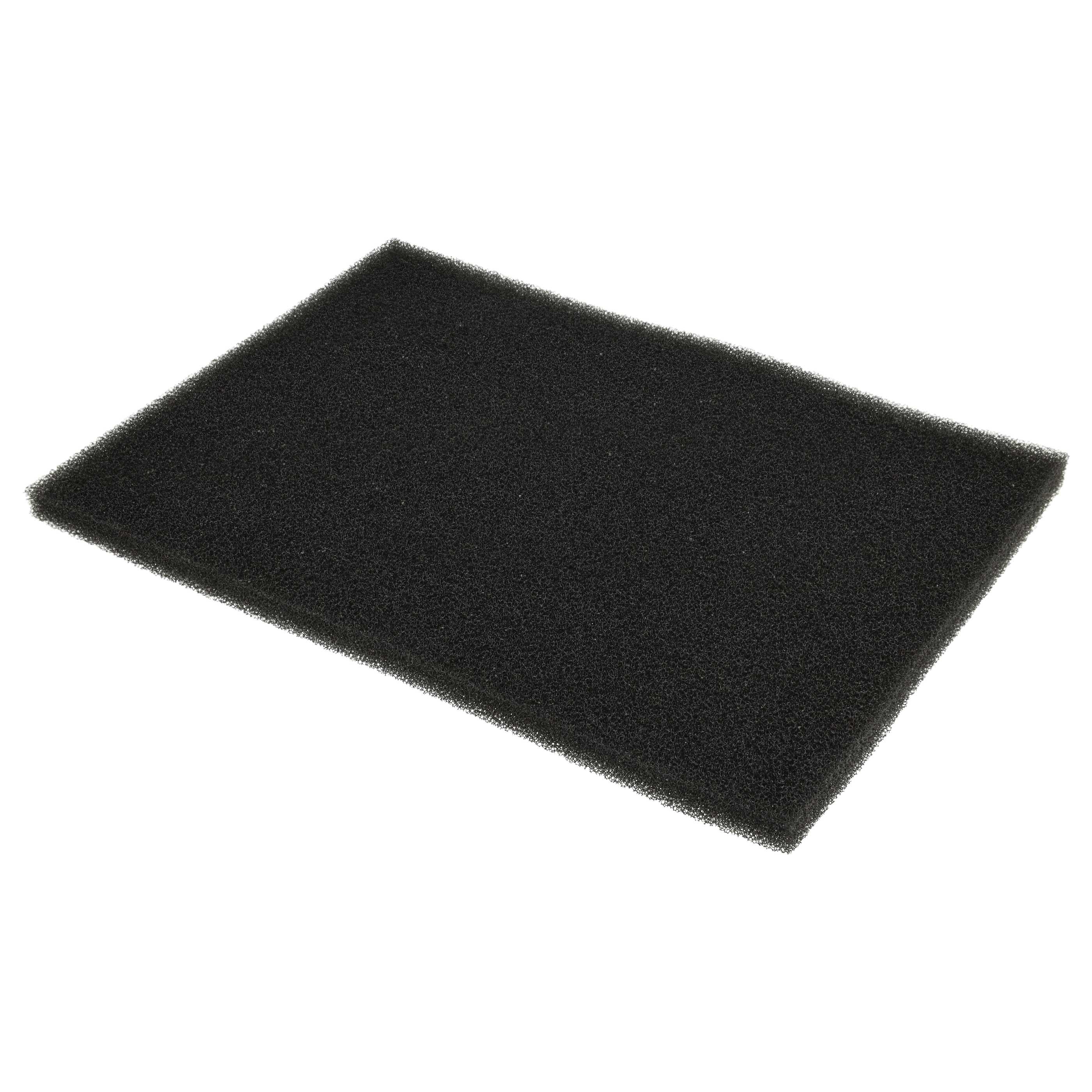 Filter Set (2x foam filter) as Replacement for 1123156000 Tumble Dryer