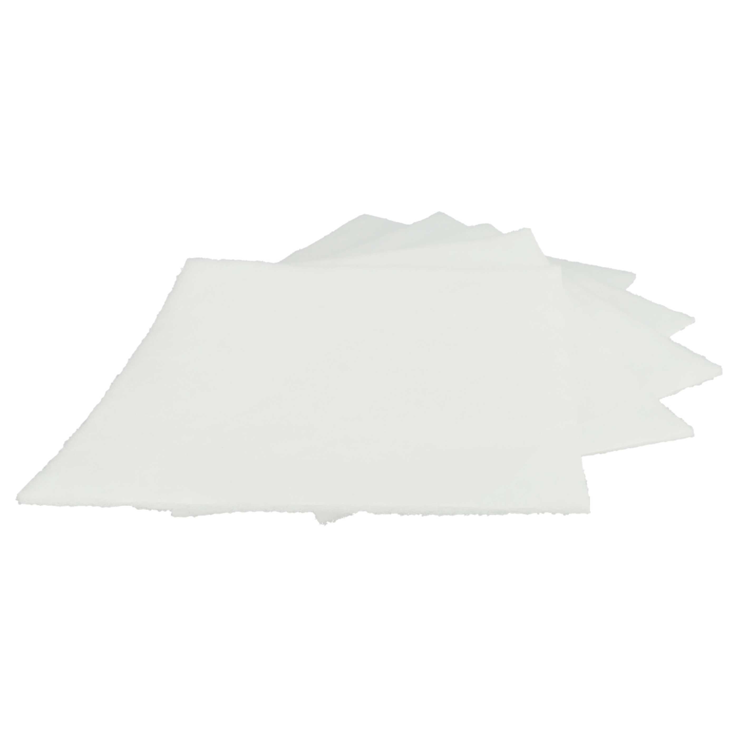 15x Filter als Ersatz für Lunos 2/FSA, 034185, 034185, 2/FSA für Lunos Lüfter - Filterklasse G2, weiß