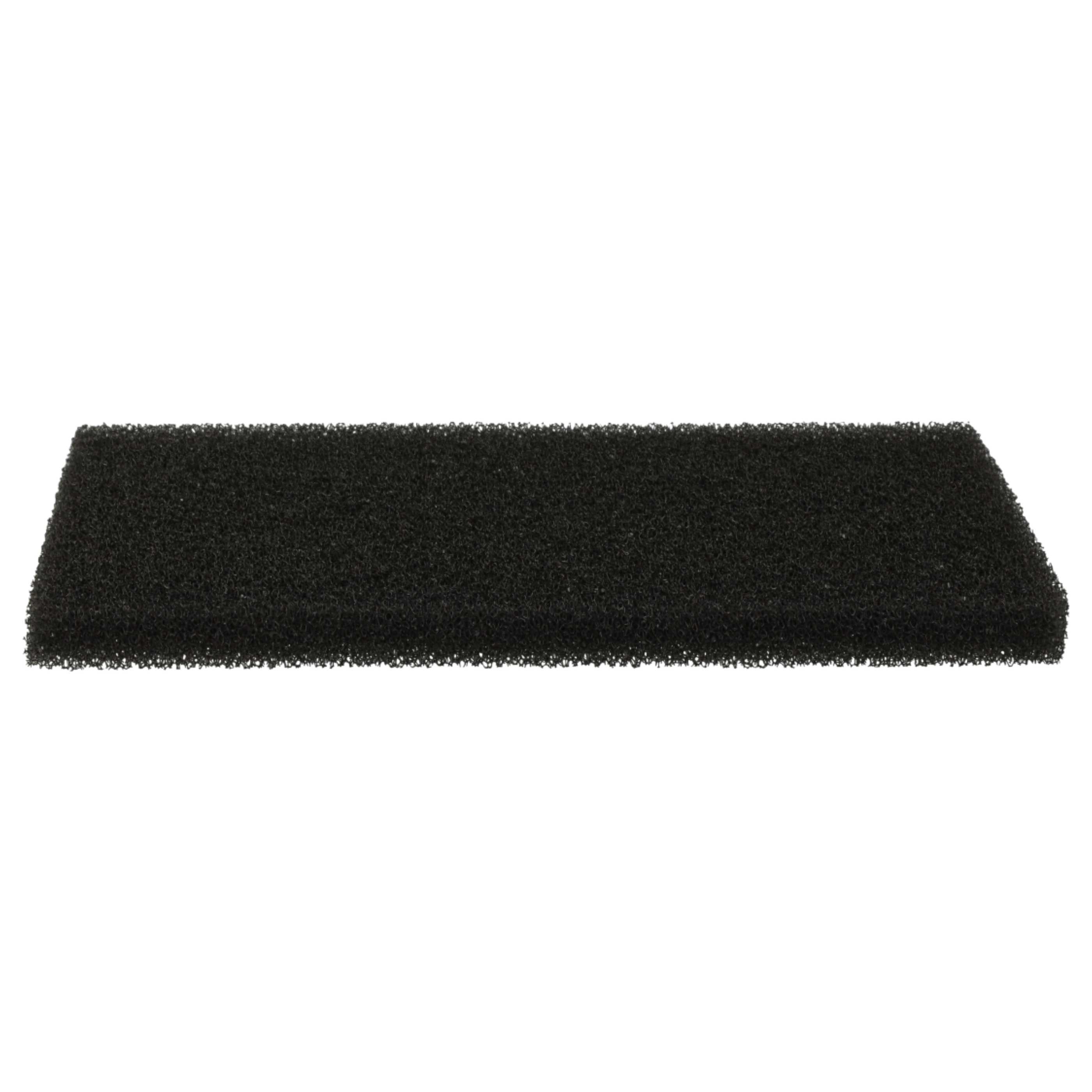 2x foam filter replaces 109616800/8, 421000466500/7, 1096168008 for Privileg Vacuum Cleaner, 8 x 12 cm
