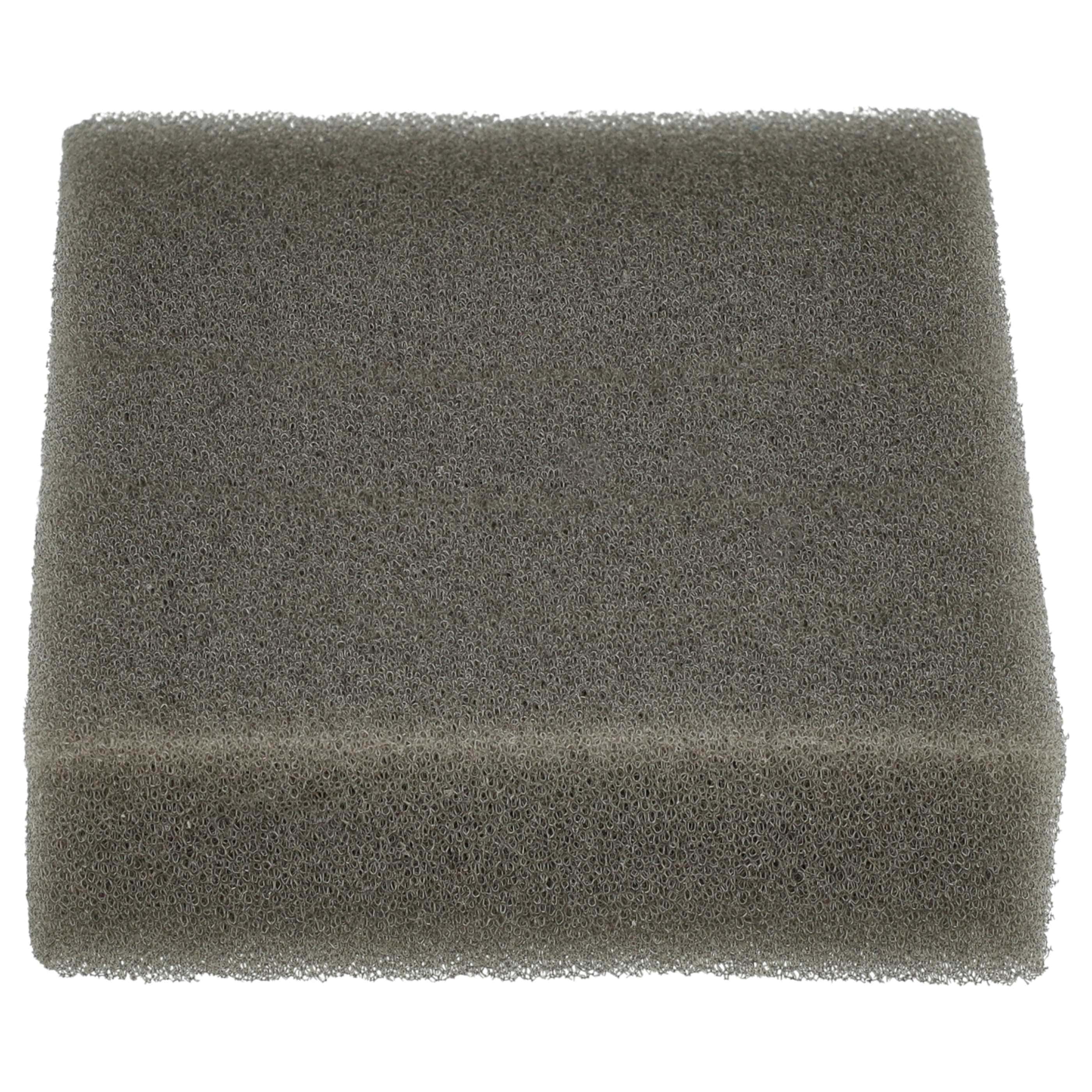 2x Filtersponge filter suitable for Leifheit Regulus Aqua PowerVac Vacuum Cleaner