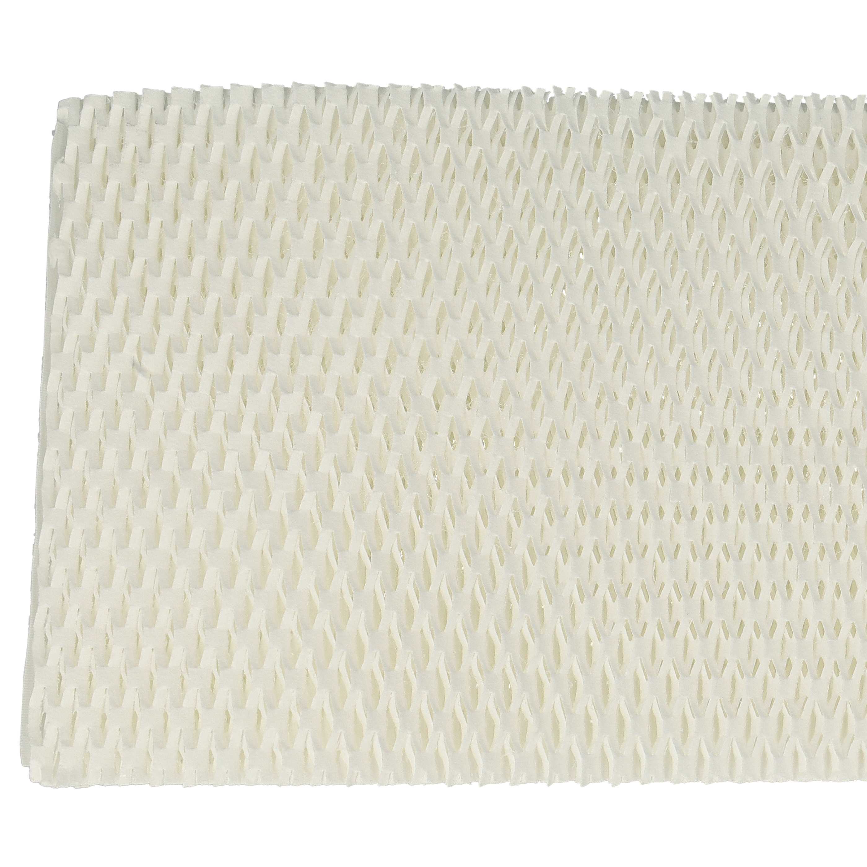 Evaporation filter replaces Trotec B 25E for Humidifier