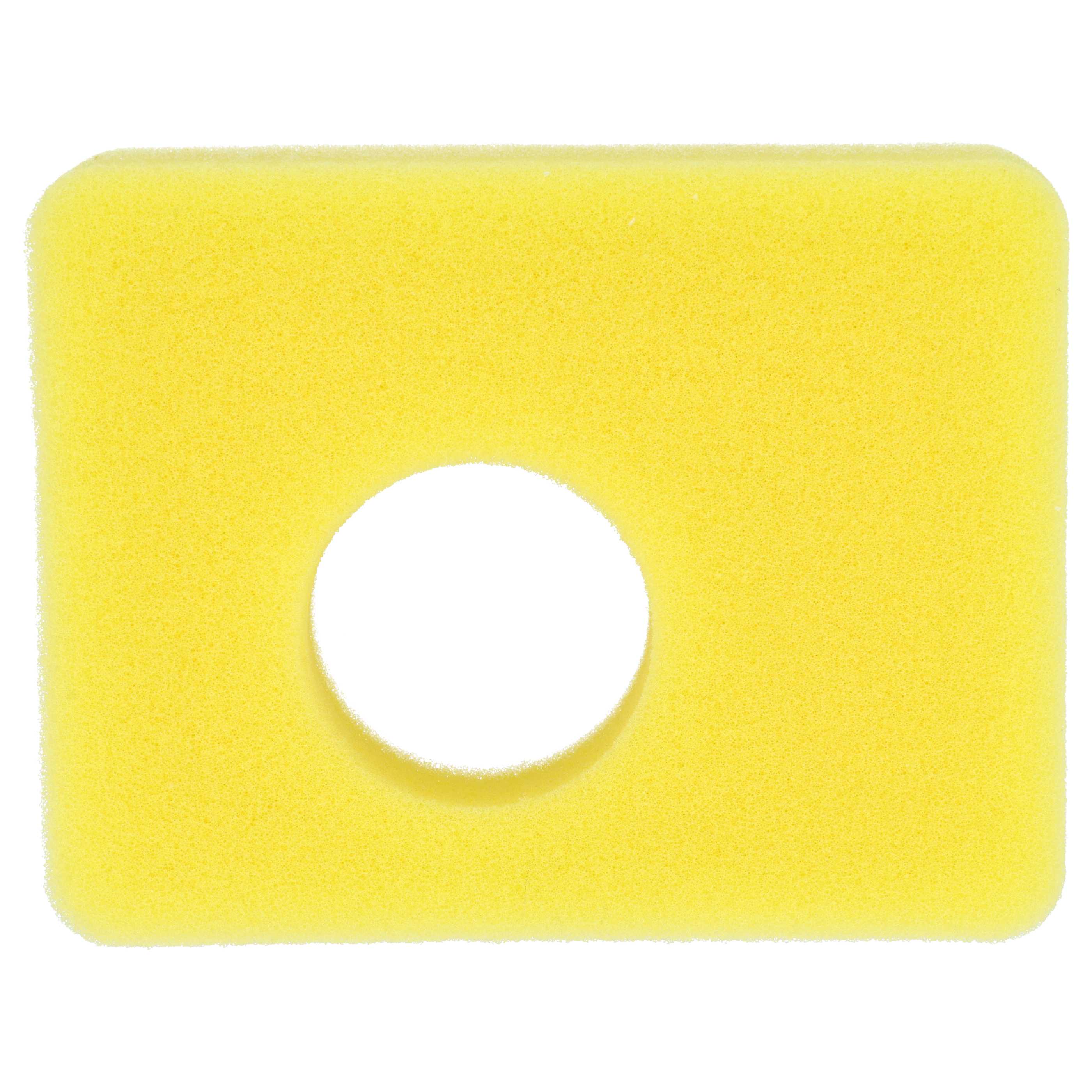 Filtro dell'aria di schiuma sostituisce Briggs & Stratton 799579, 5434 per motore del tosaerba 