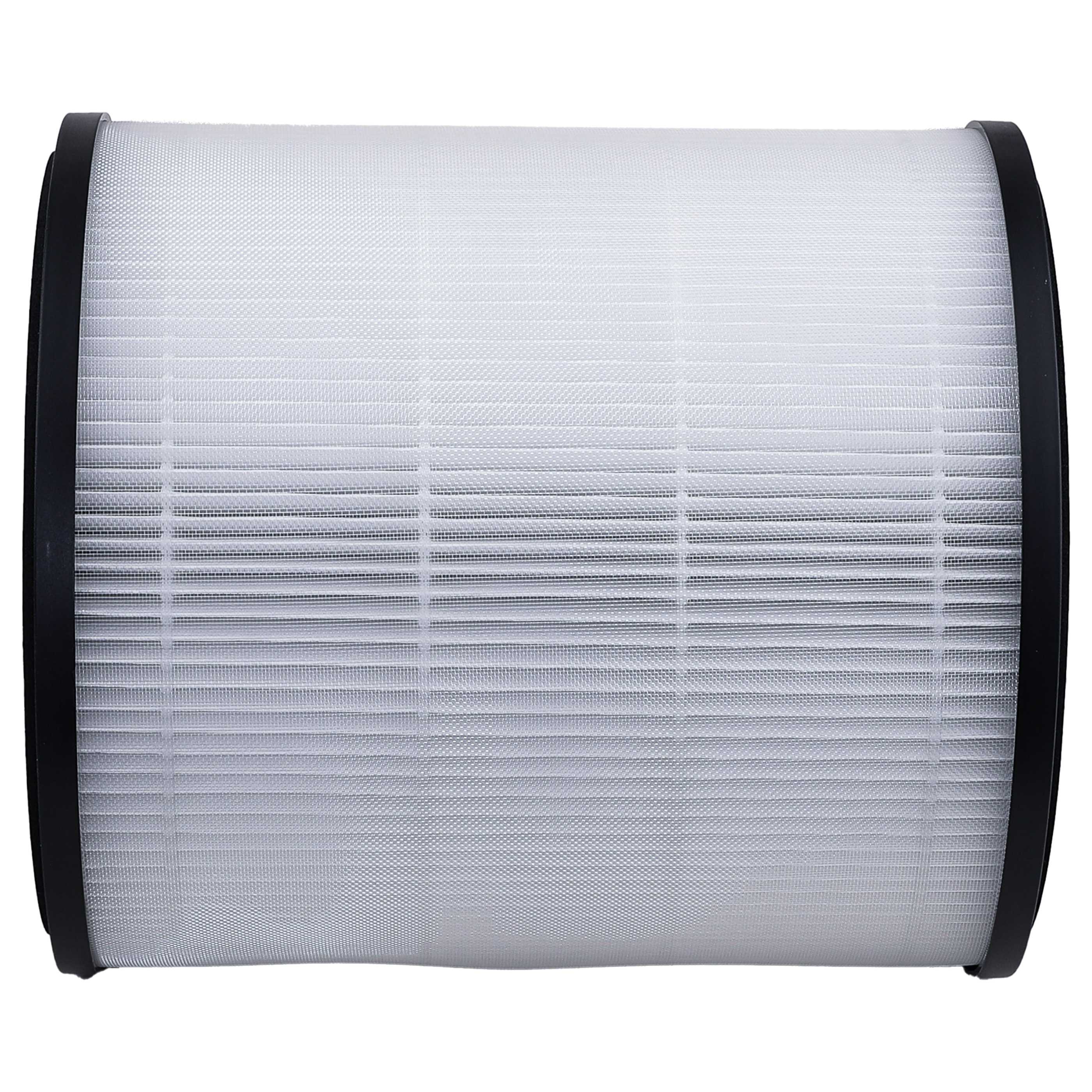 2x Filter as Replacement for Rowenta XD6280F0 -