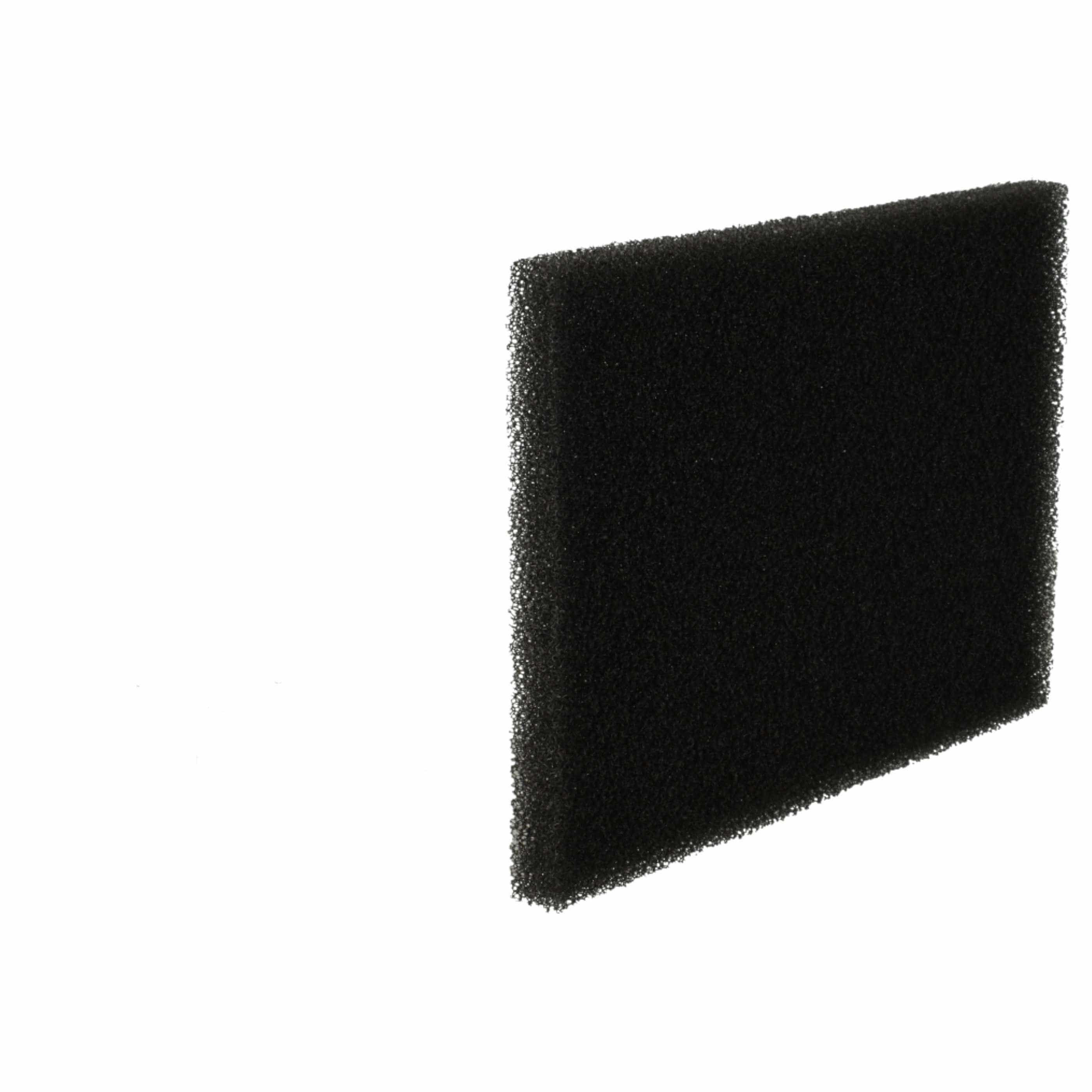 10x Filterfoam filter replaces 1096168008, 421000466500/7, 109616800/8 for Privileg Vacuum Cleaner, 8 x 12 cm