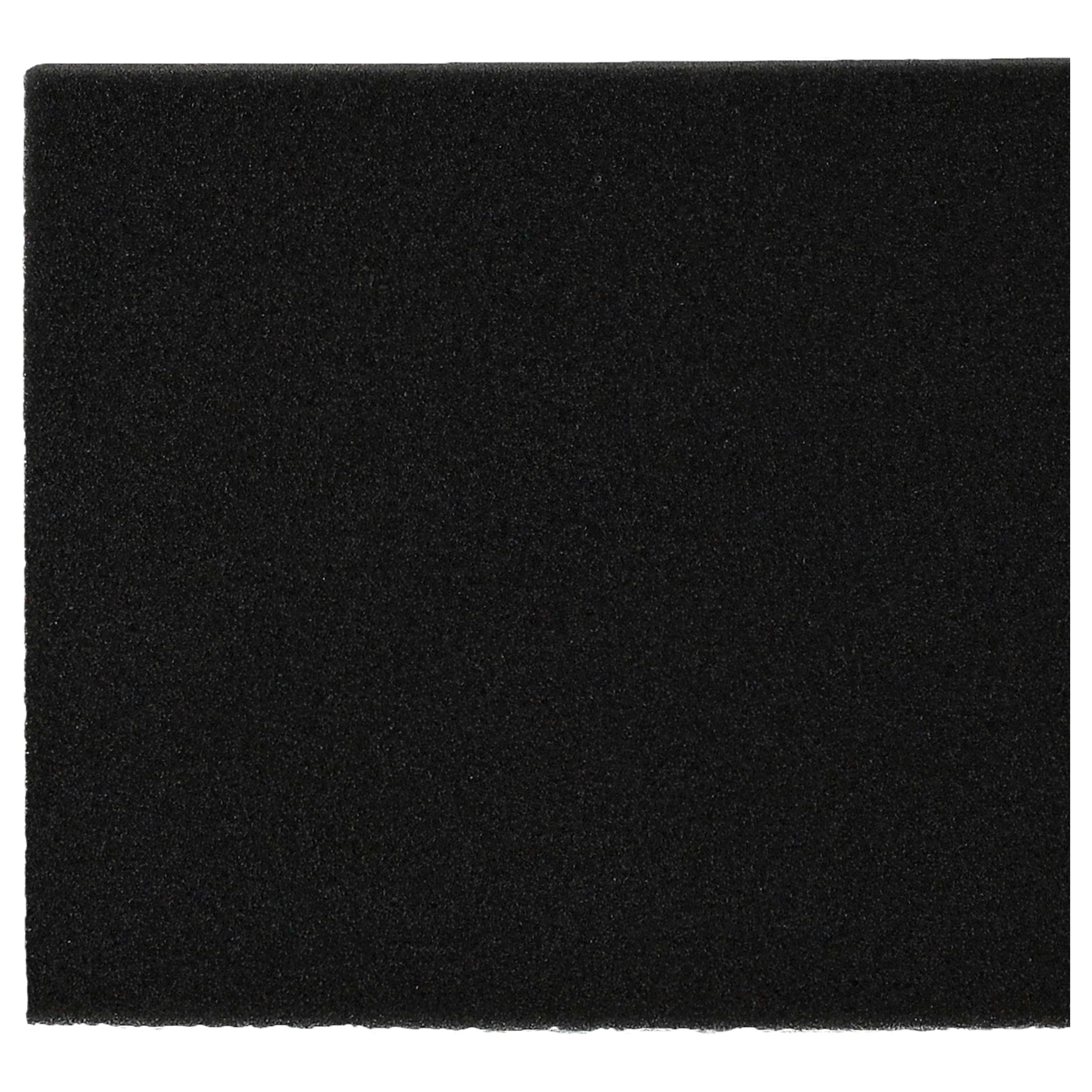 Filtro sostituisce Philips 432200039691, CP0789 per aspirapolvere