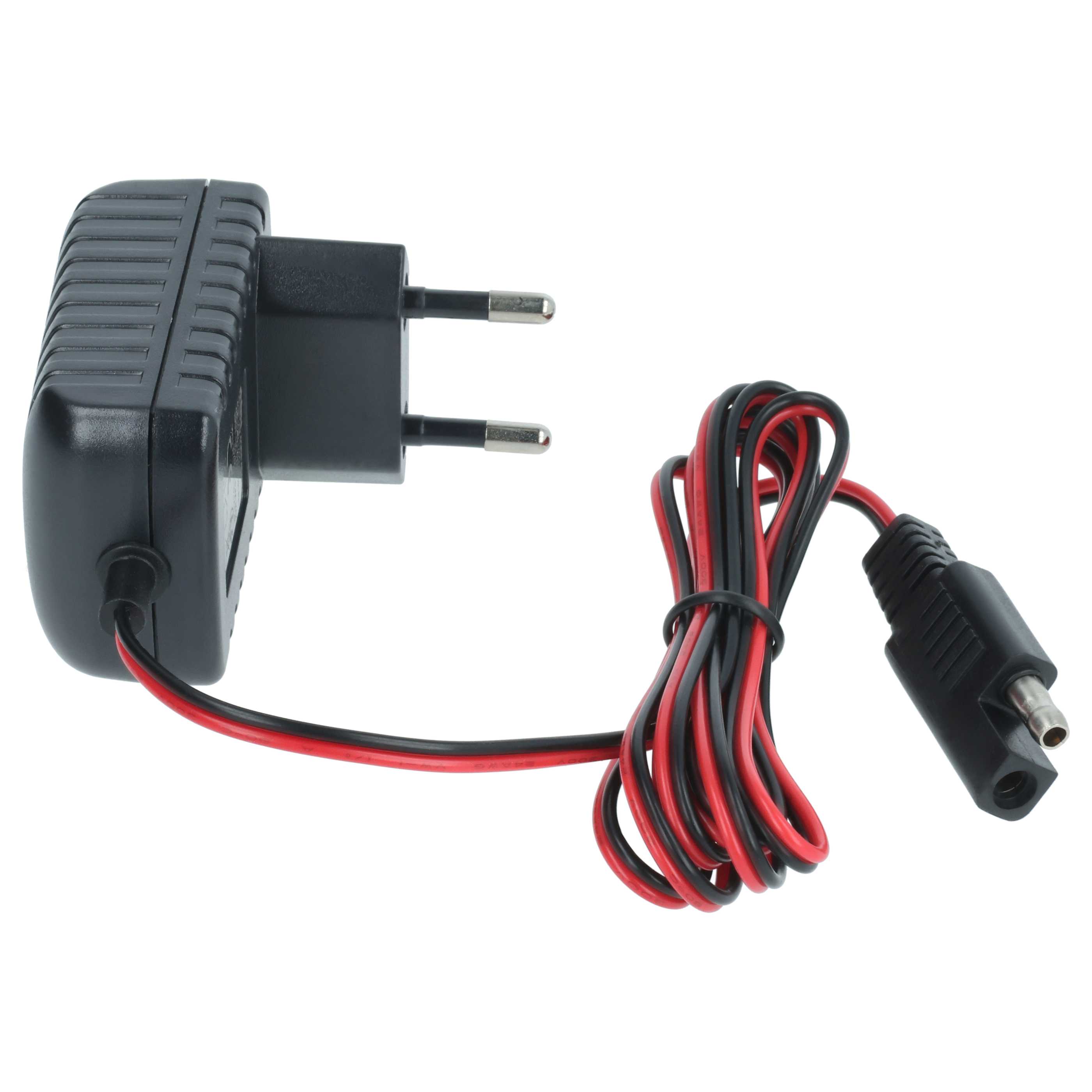 Starter Battery Charger suitable for Honda, MTD, Scheppach, Makita Lawn Mower etc. - 12 V, 2 m
