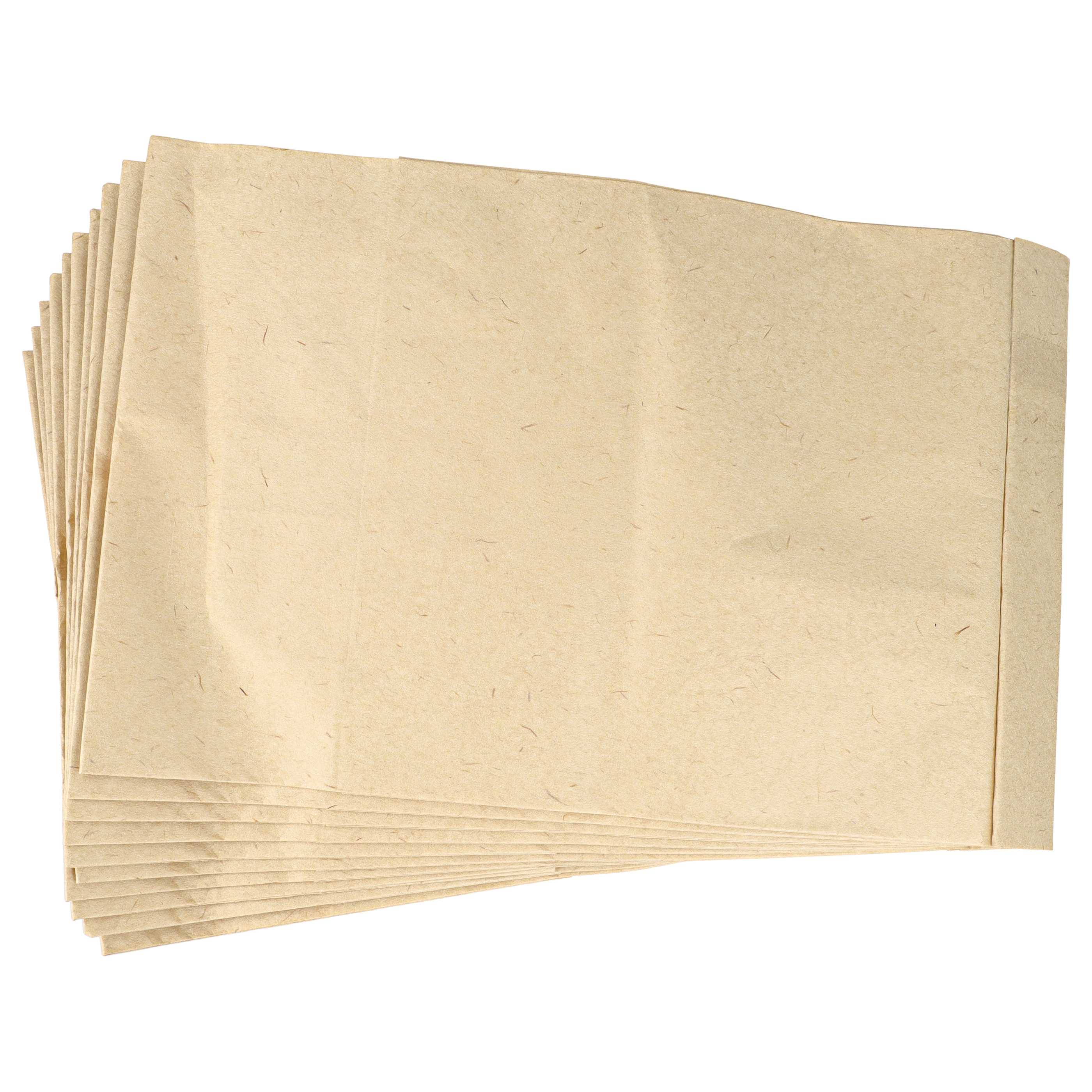 20x Sacchetto sostituisce Europlus M305 per aspiratore, carta
