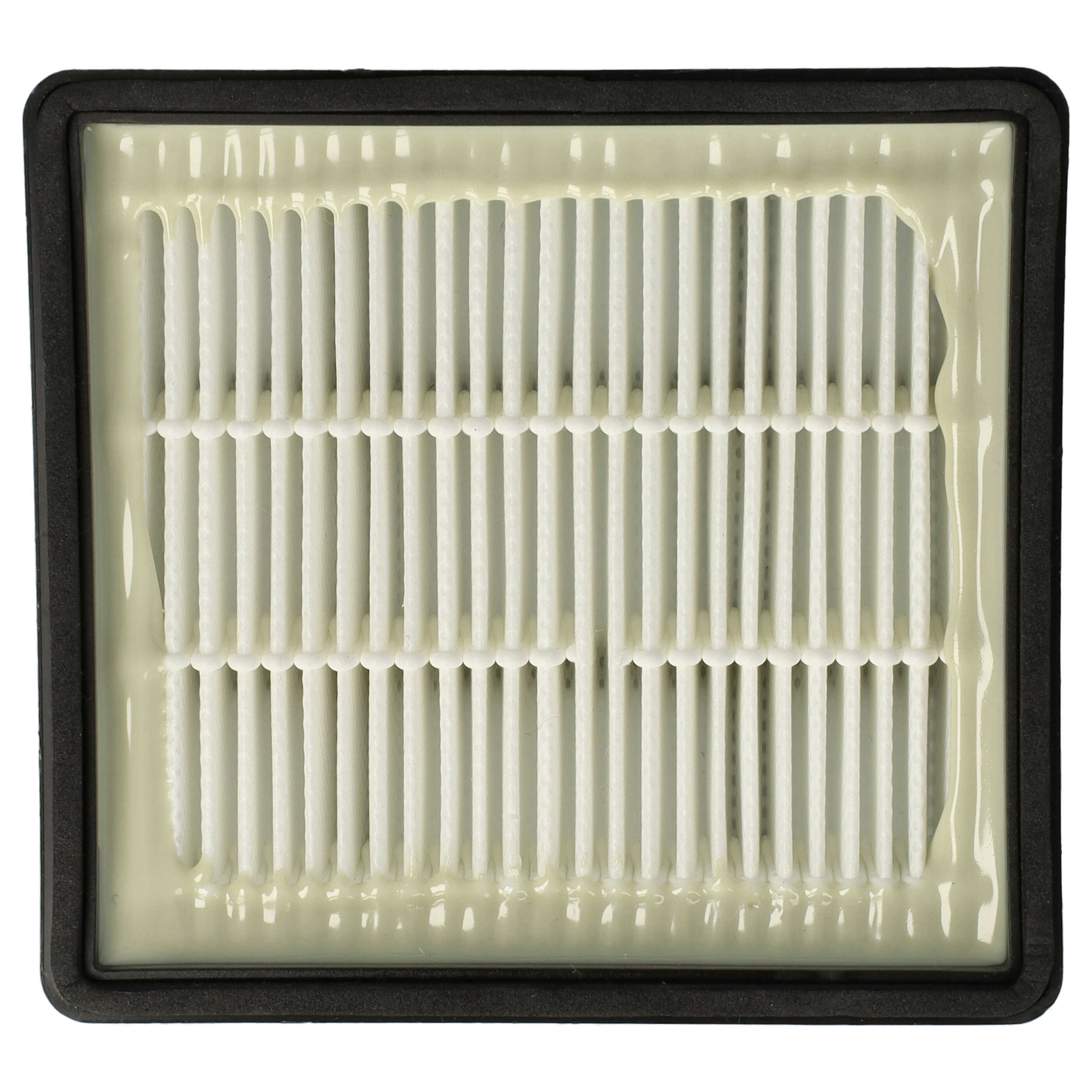 2x filtro Hepa###DU HAST DEN FALSCHEN REF TAG VERWENDET###aspiradora - negro / blanco