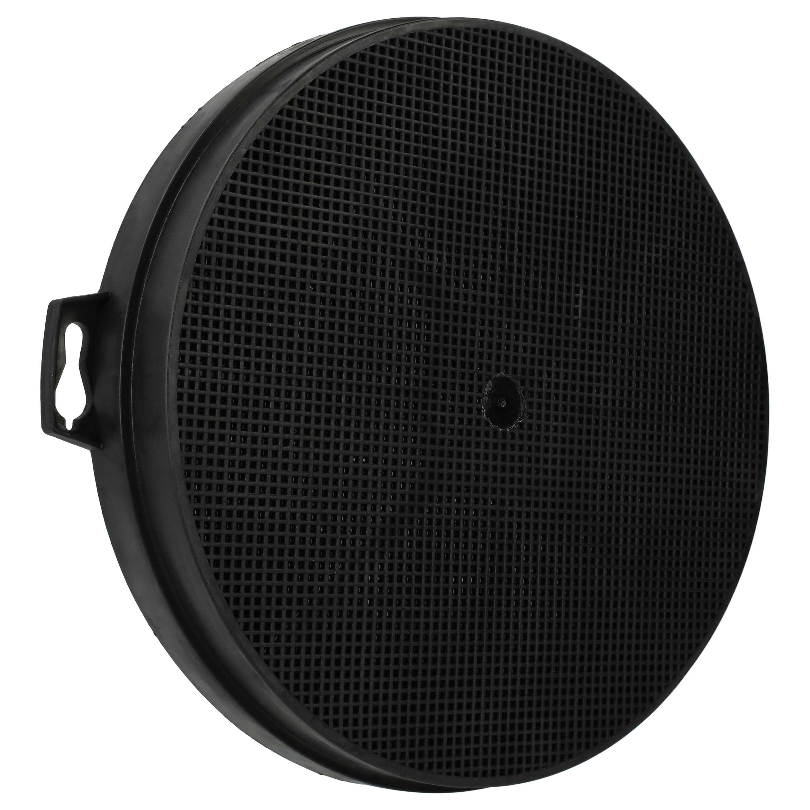 Filtro carboni attivi sostituisce AEG 7332543706709, 9029793719, 902980152 per cappe Proline - 21 cm