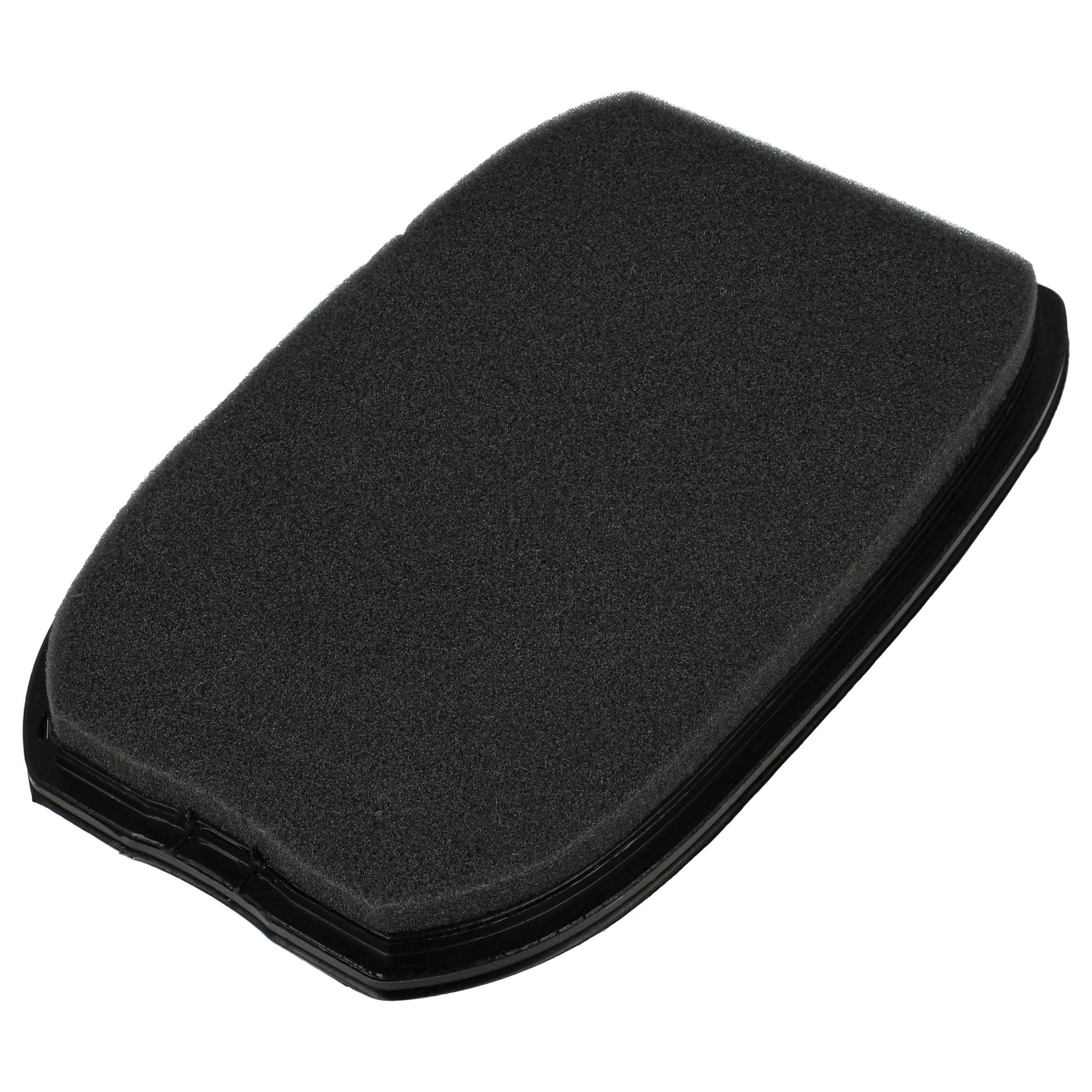 Filter replaces Philips XV1791/01 for Philips Vacuum Cleaner, filter class H10