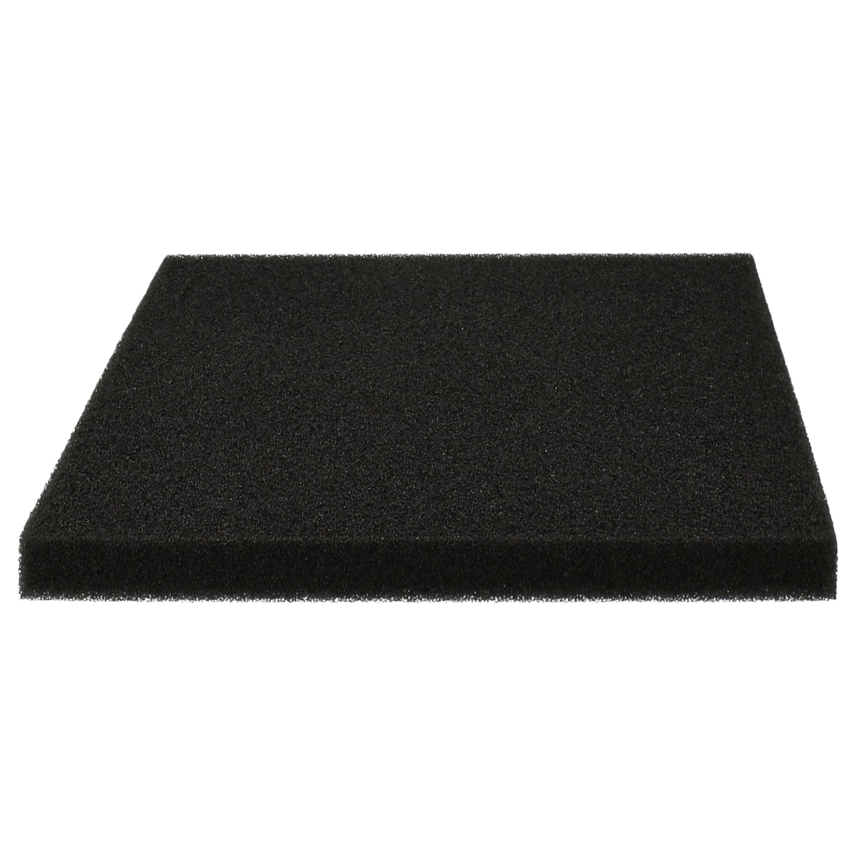Filtro sostituisce Philips 432200039691, CP0789 per aspirapolvere
