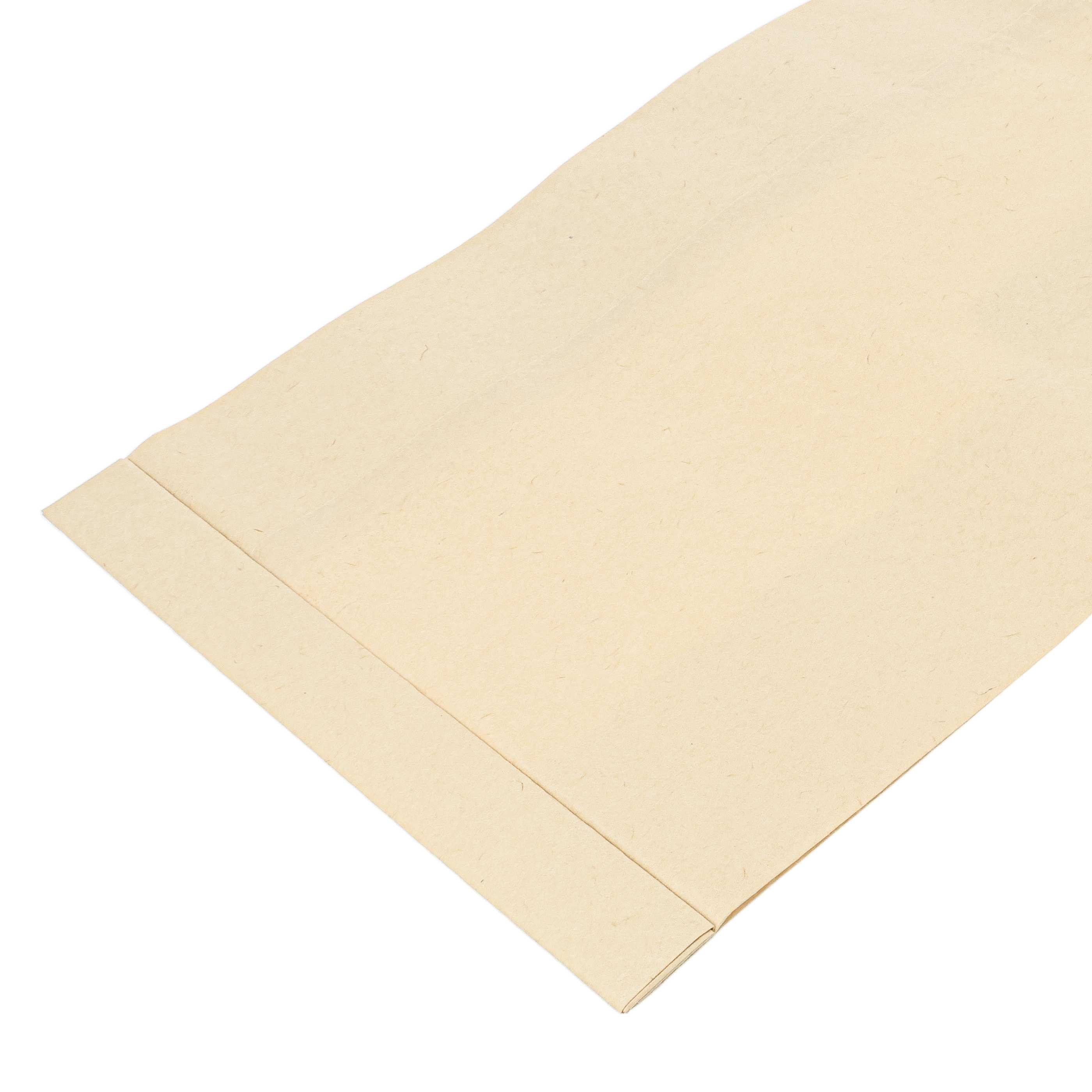 10x bolsa aspiradora para Einhell TC-VC 1812 S, TC-VC 1815 S - papel