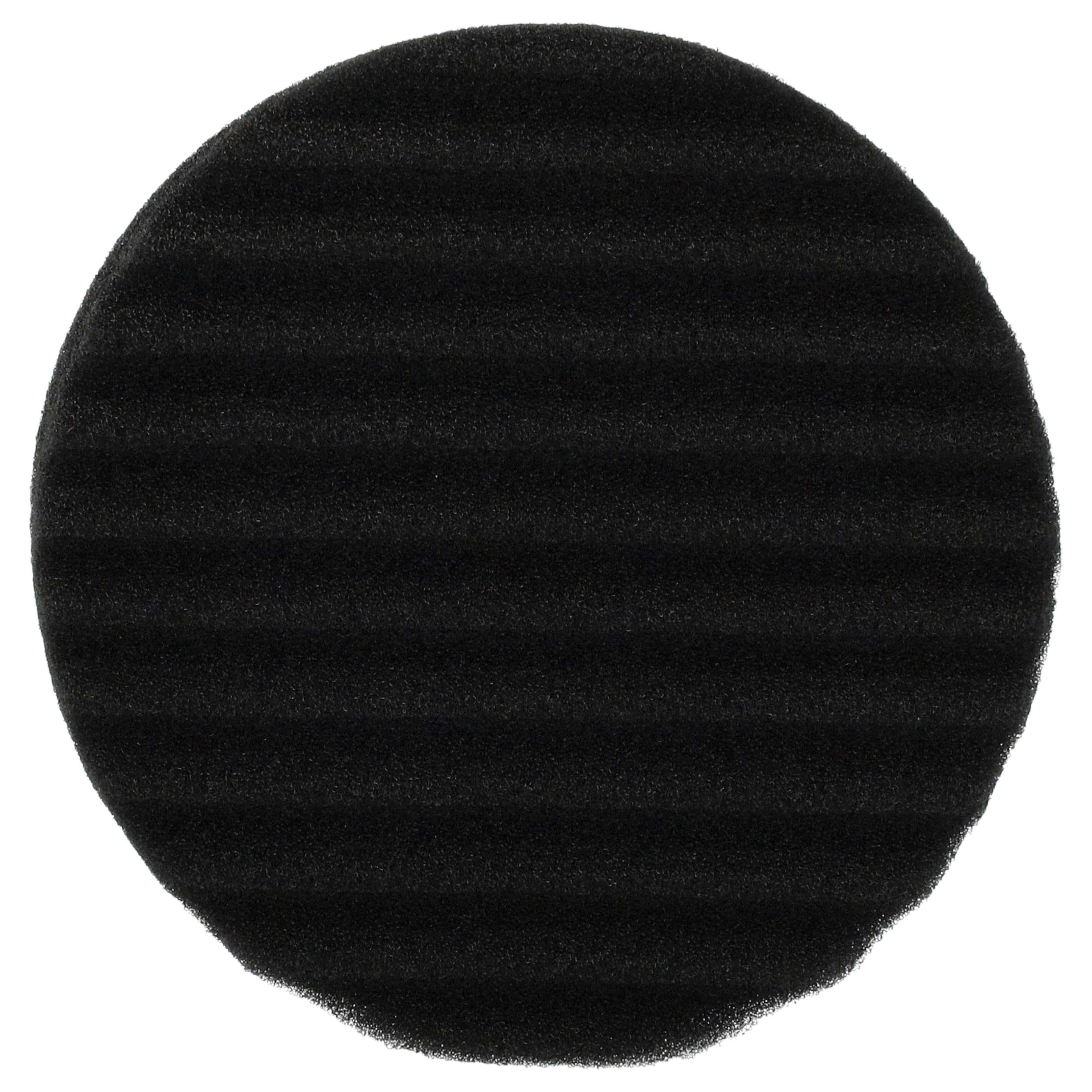 2x Filterfoam filter replaces Rowenta RS-RH5473 for Rowenta Vacuum Cleaner