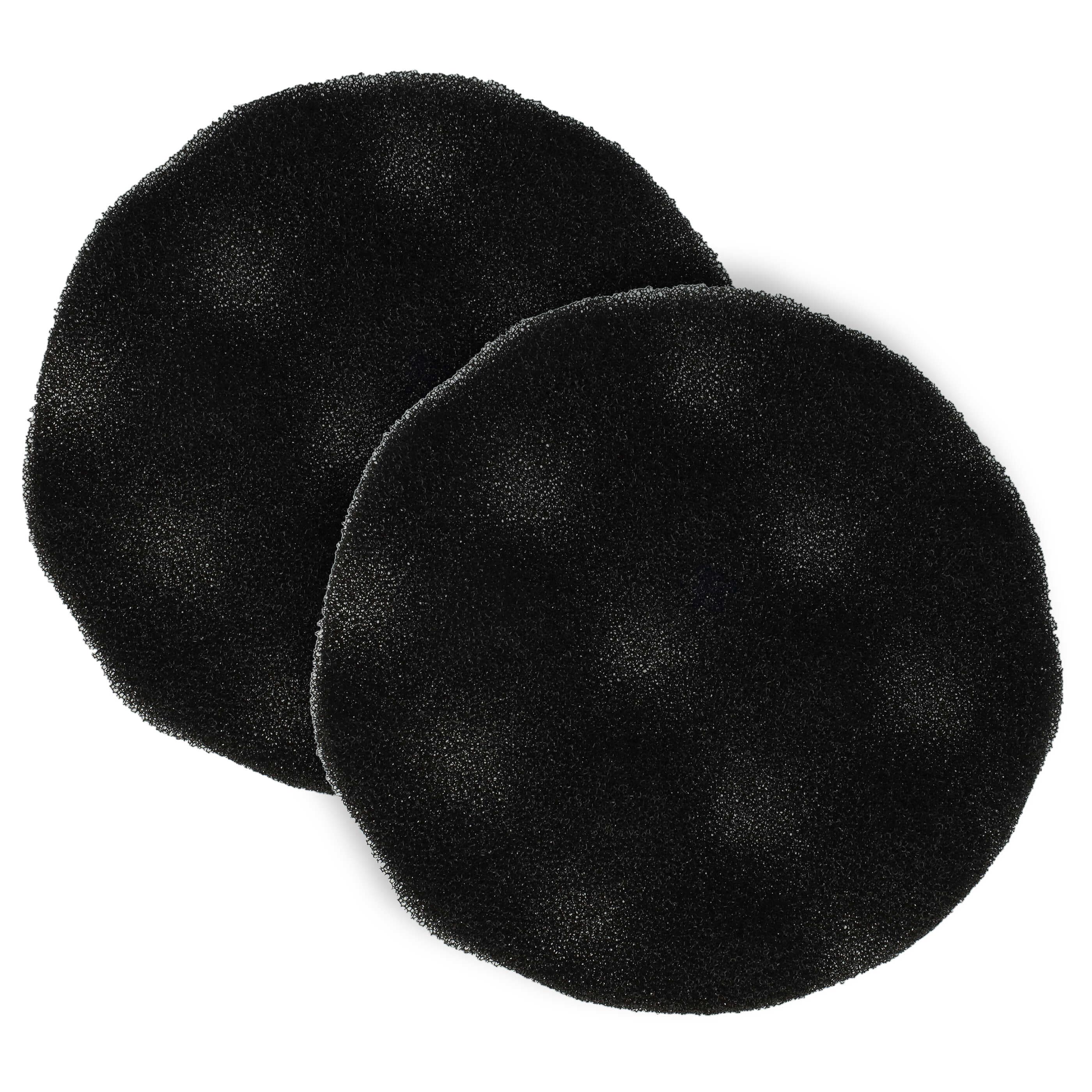 2x foam filter replaces Rowenta RS-RT2241 for Moulinex Vacuum Cleaner