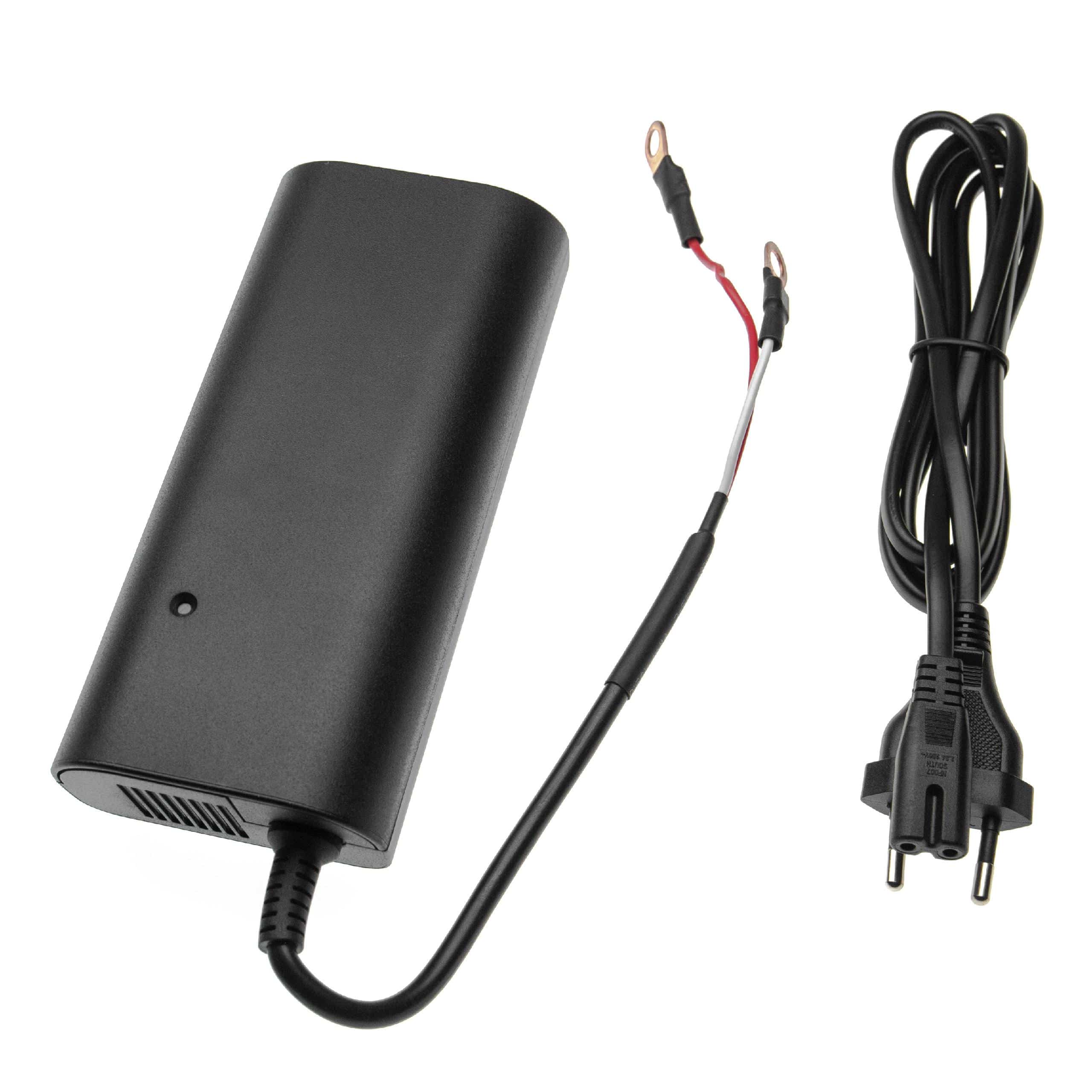 Charger suitable for LiFePO4 Batteries (12.8 V) - with LED Indicator