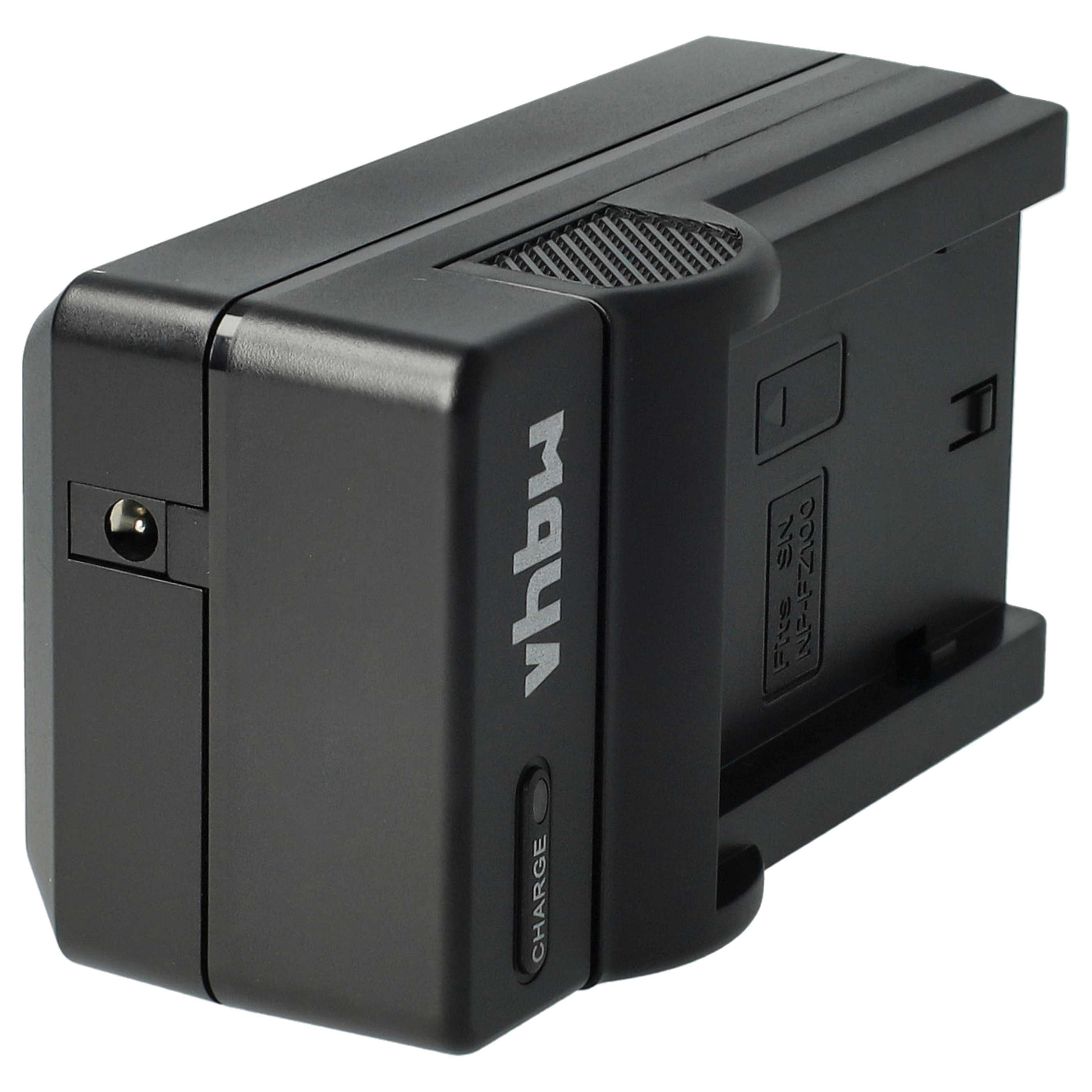 Caricabatterie + adattatore da auto per fotocamera Sony