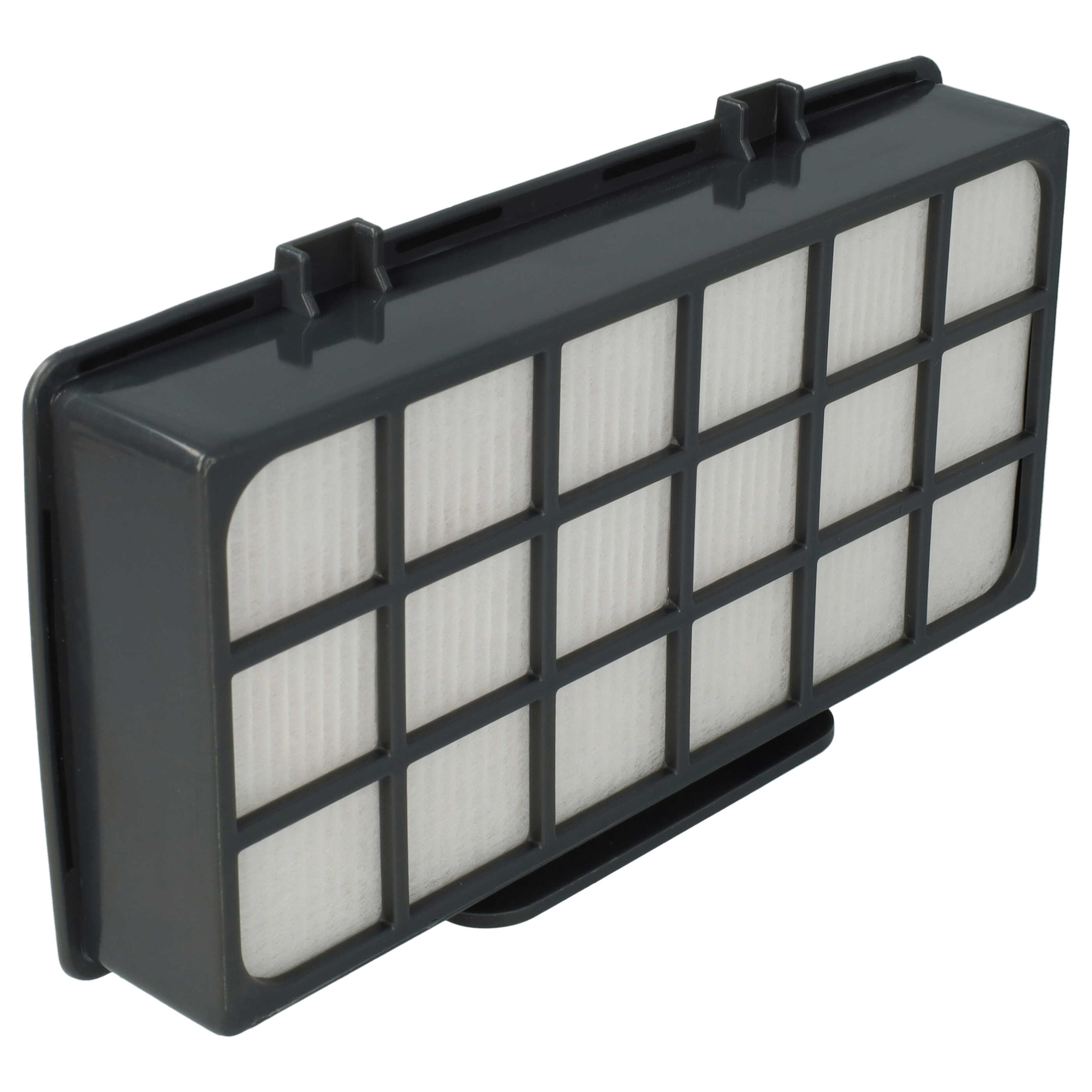 2x exhaust EPA filter replaces Rowenta RS-RT4310, ZR920101 for Rowenta Vacuum Cleaner