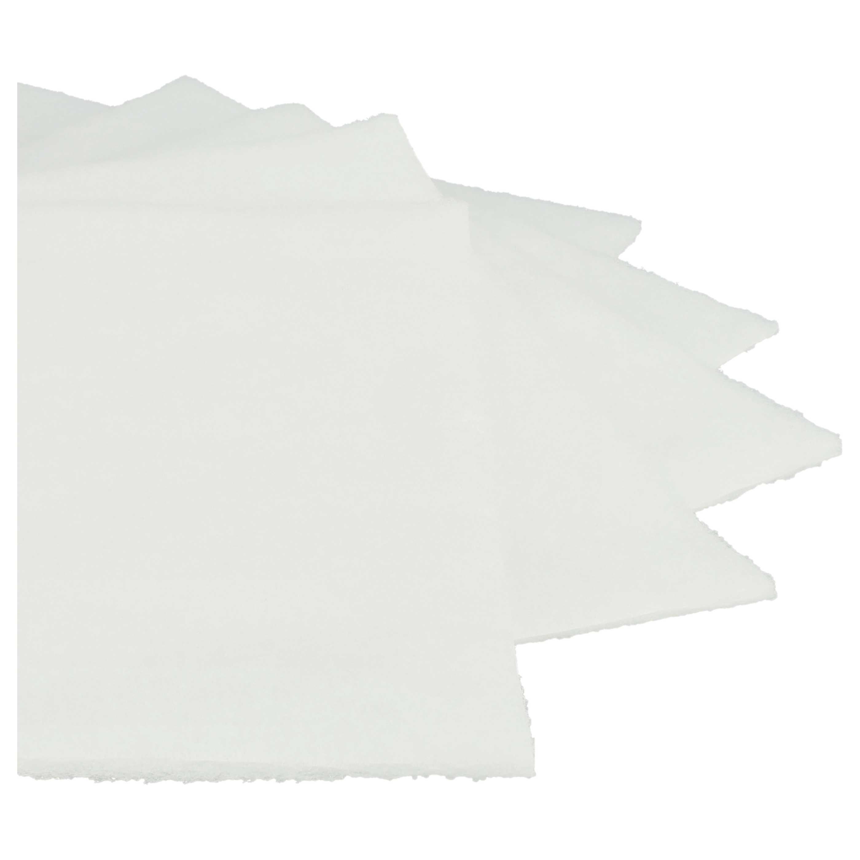 50x Filter als Ersatz für Lunos 034185, 2/FSA für Lunos Lüfter - Filterklasse G2, weiß